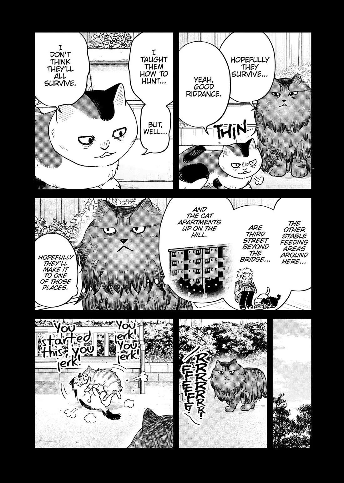 Cat Partners: Maruru and Hachi Chapter 47 page 2 - Chapter 47