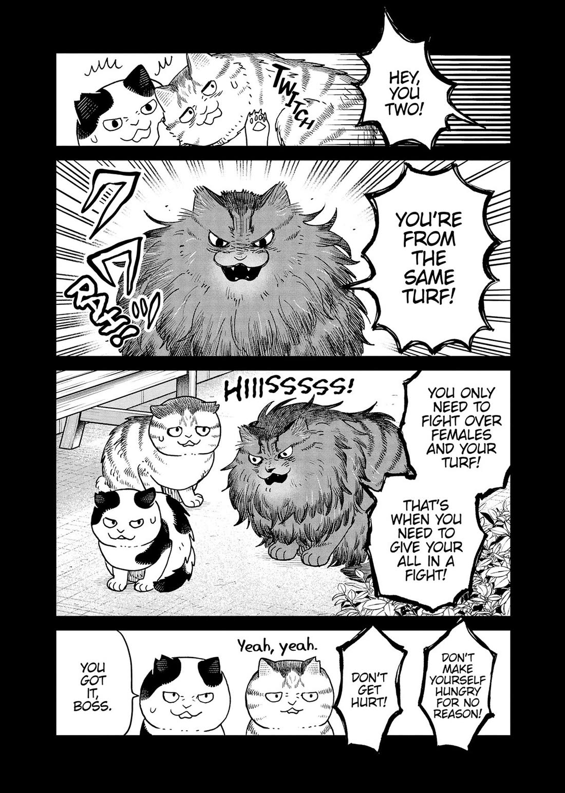 Cat Partners: Maruru and Hachi Chapter 47 page 3 - Chapter 47