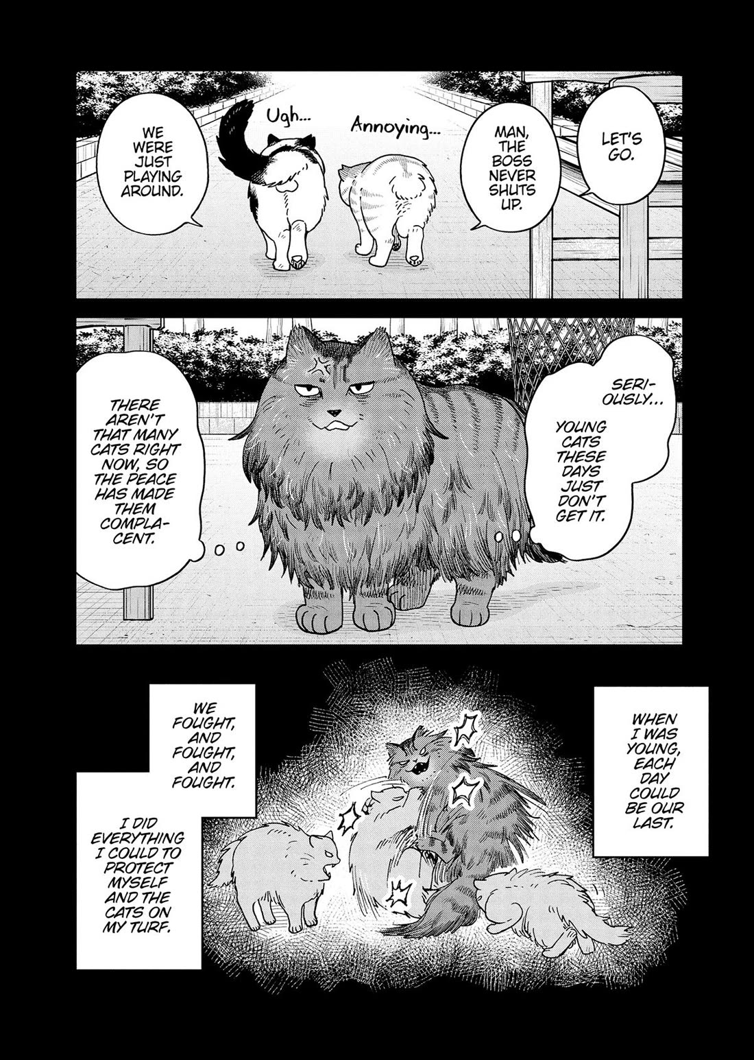 Cat Partners: Maruru and Hachi Chapter 47 page 4 - Chapter 47