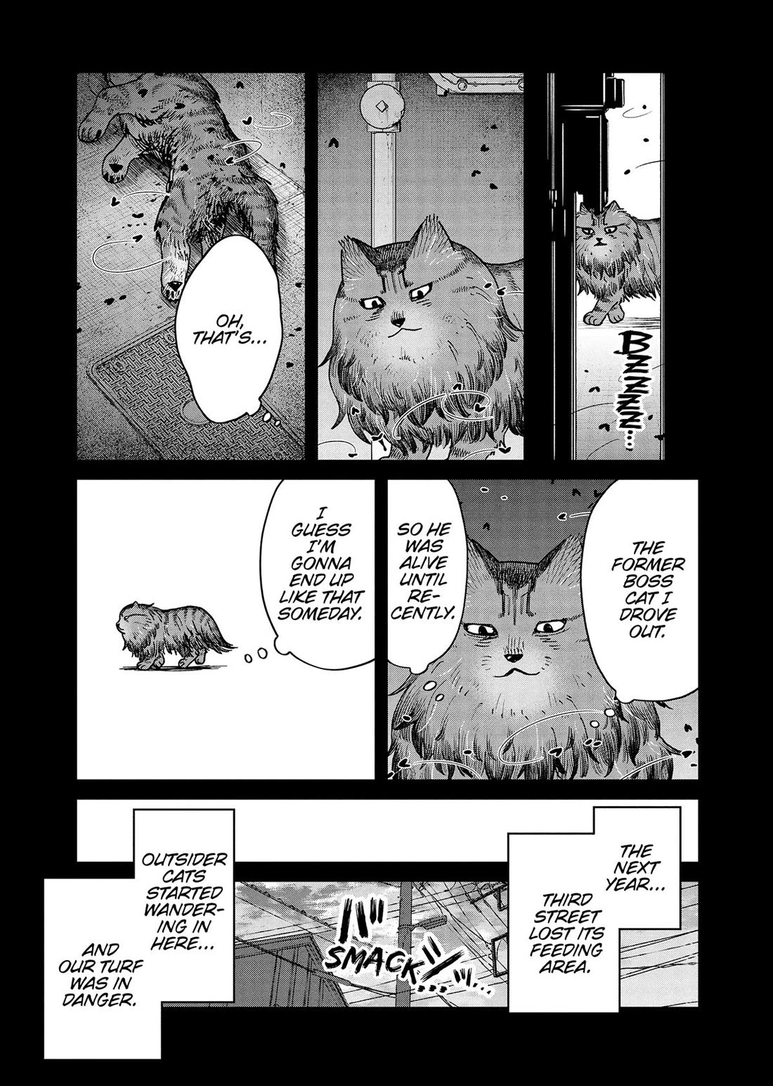 Cat Partners: Maruru and Hachi Chapter 47 page 5 - Chapter 47