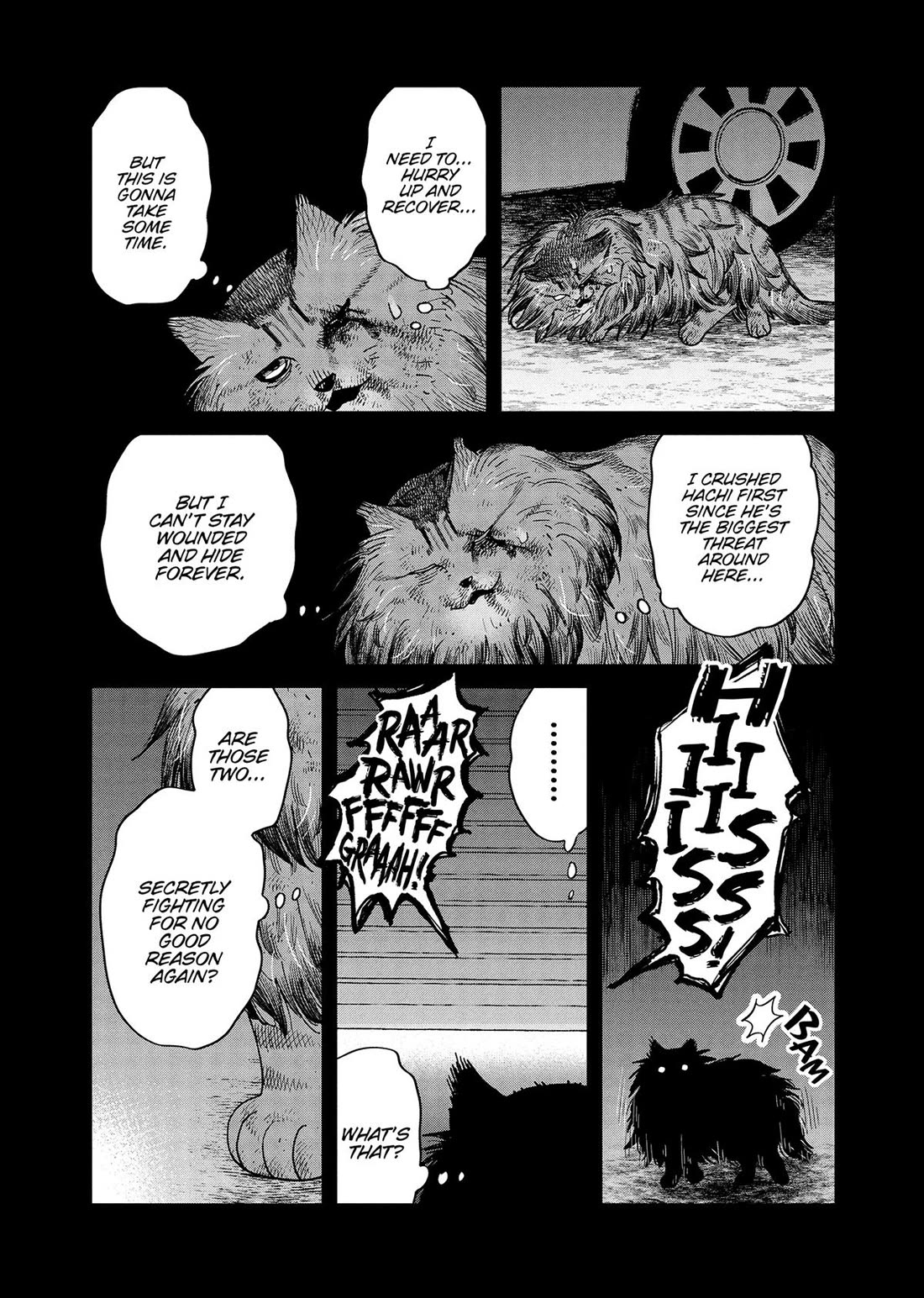 Cat Partners: Maruru and Hachi Chapter 47 page 7 - Chapter 47