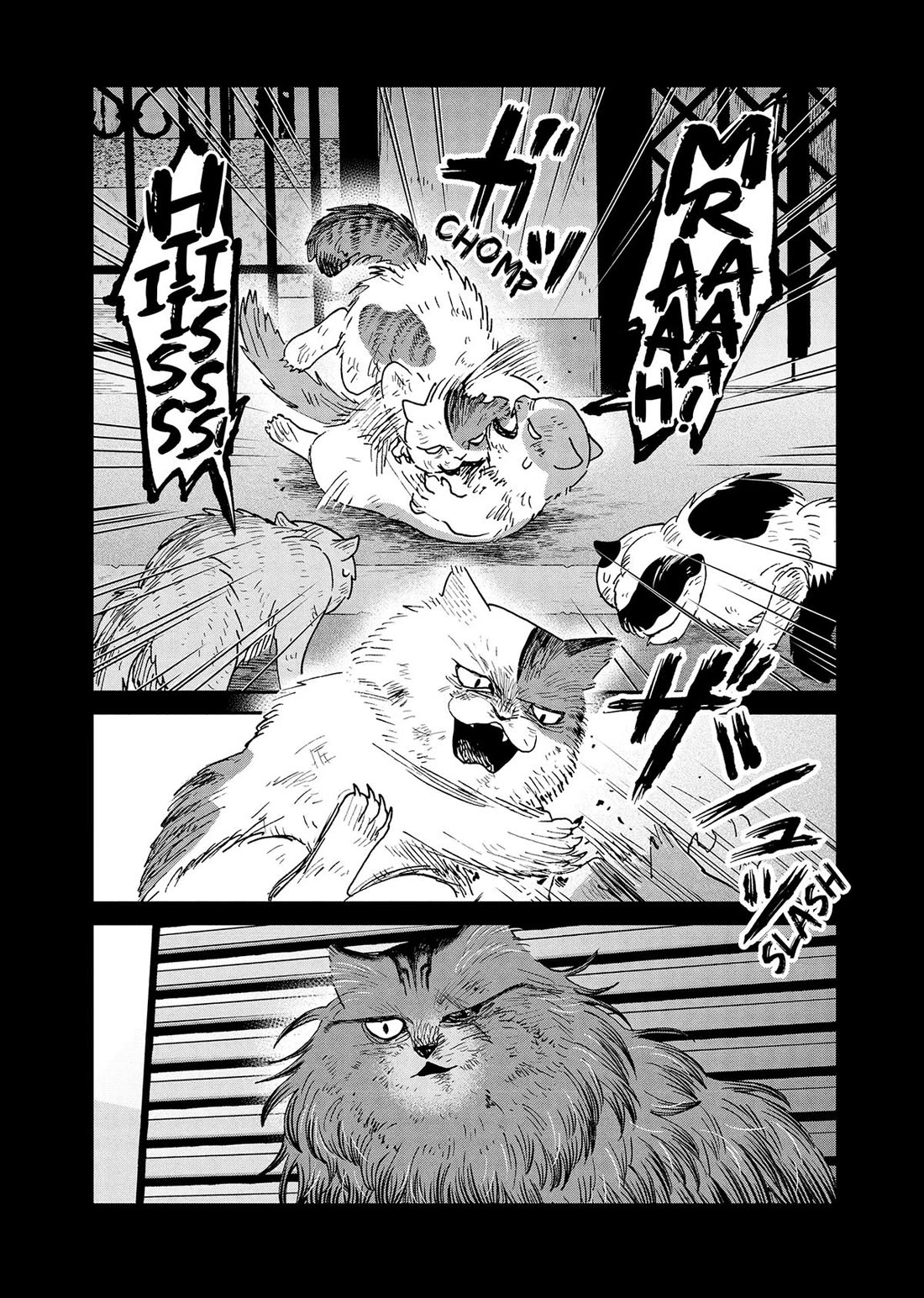 Cat Partners: Maruru and Hachi Chapter 47 page 8 - Chapter 47
