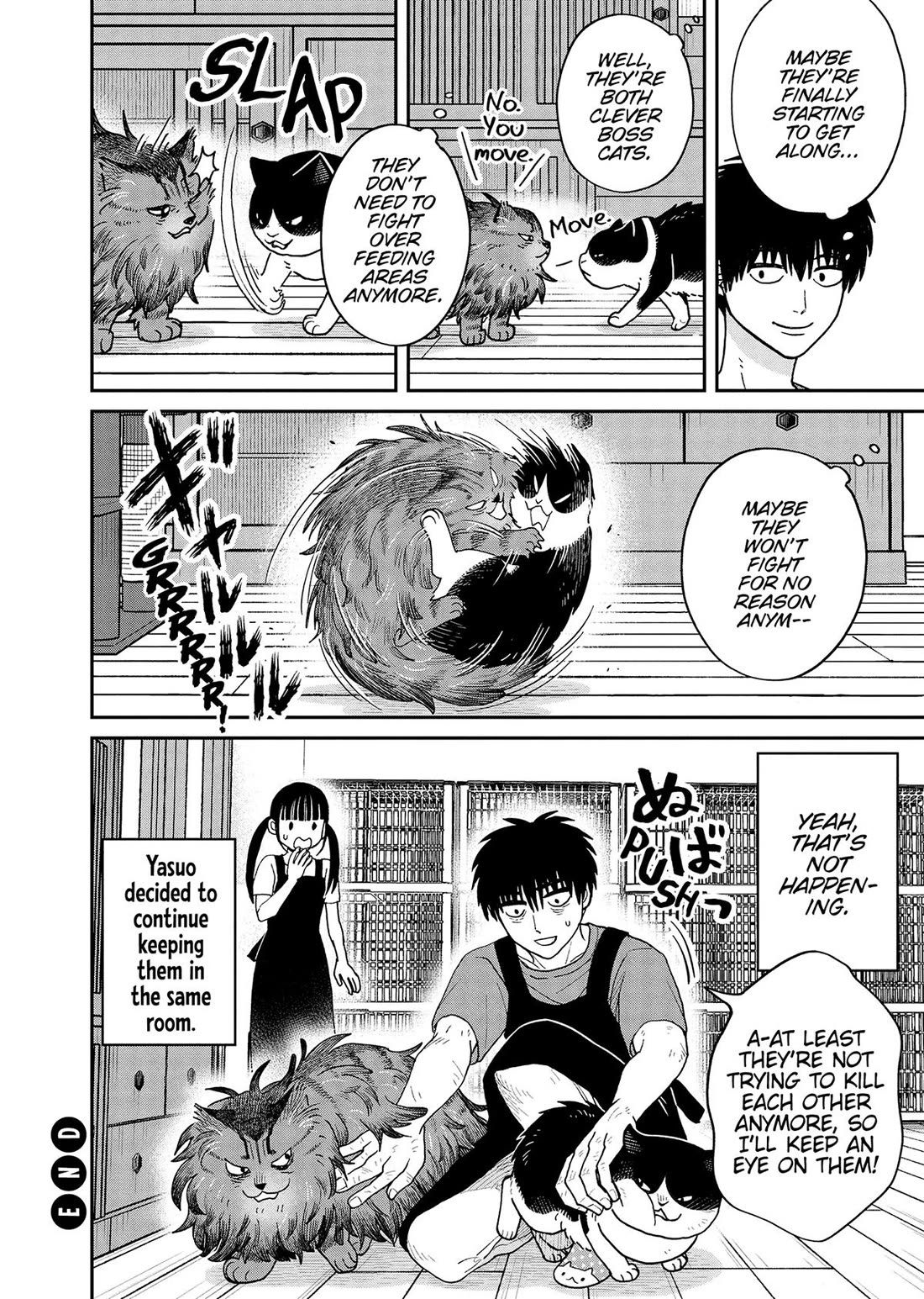 Cat Partners: Maruru and Hachi Chapter 48 page 10 - Chapter 48