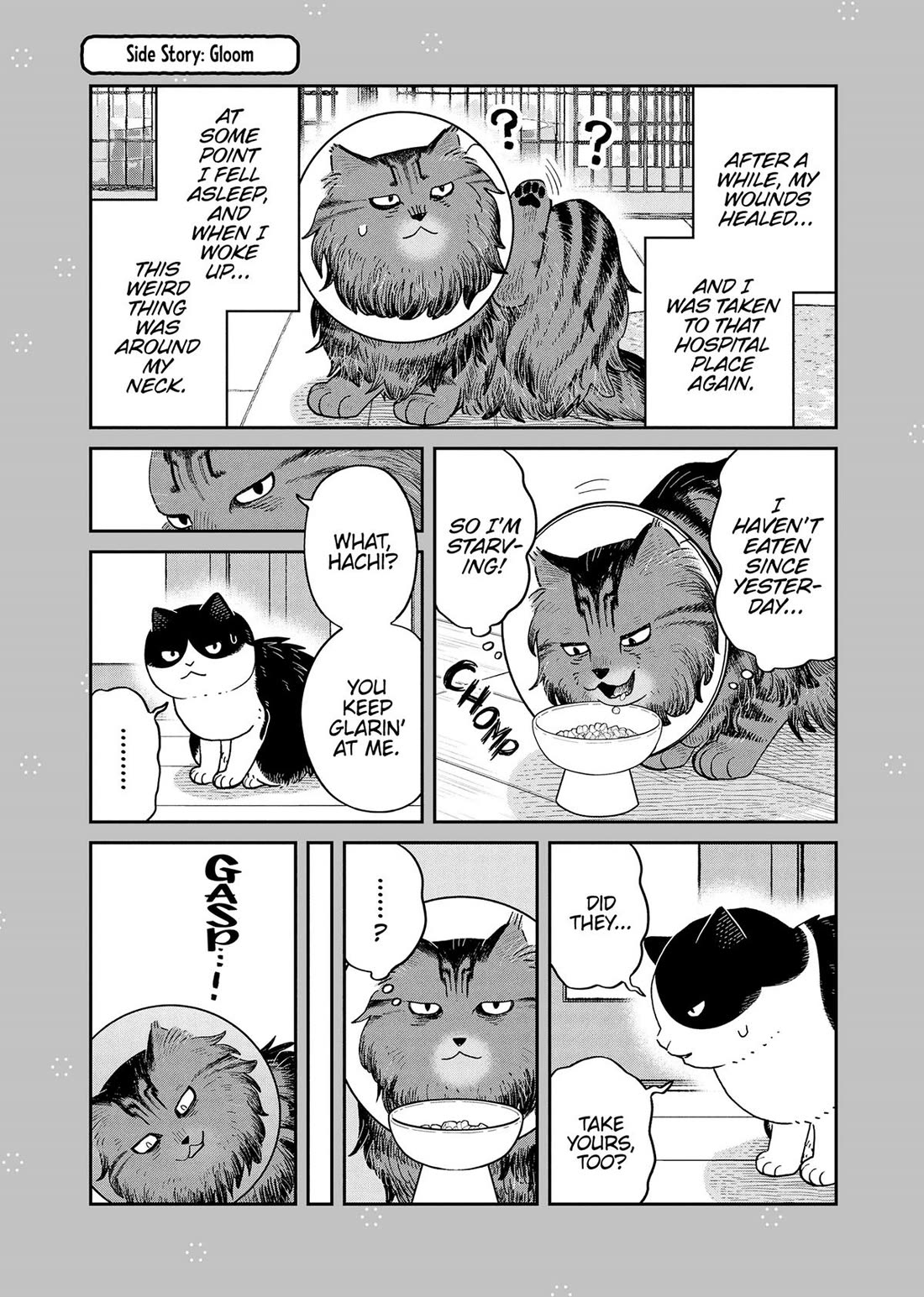 Cat Partners: Maruru and Hachi Chapter 48 page 11 - Chapter 48