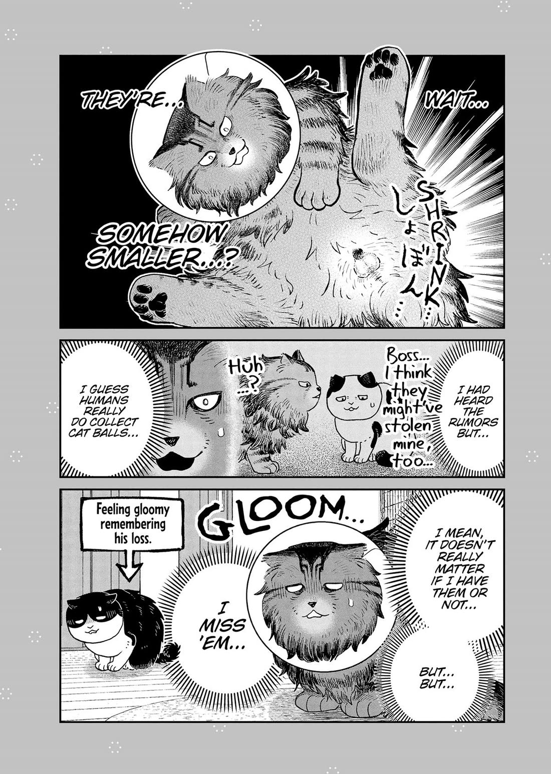 Cat Partners: Maruru and Hachi Chapter 48 page 12 - Chapter 48