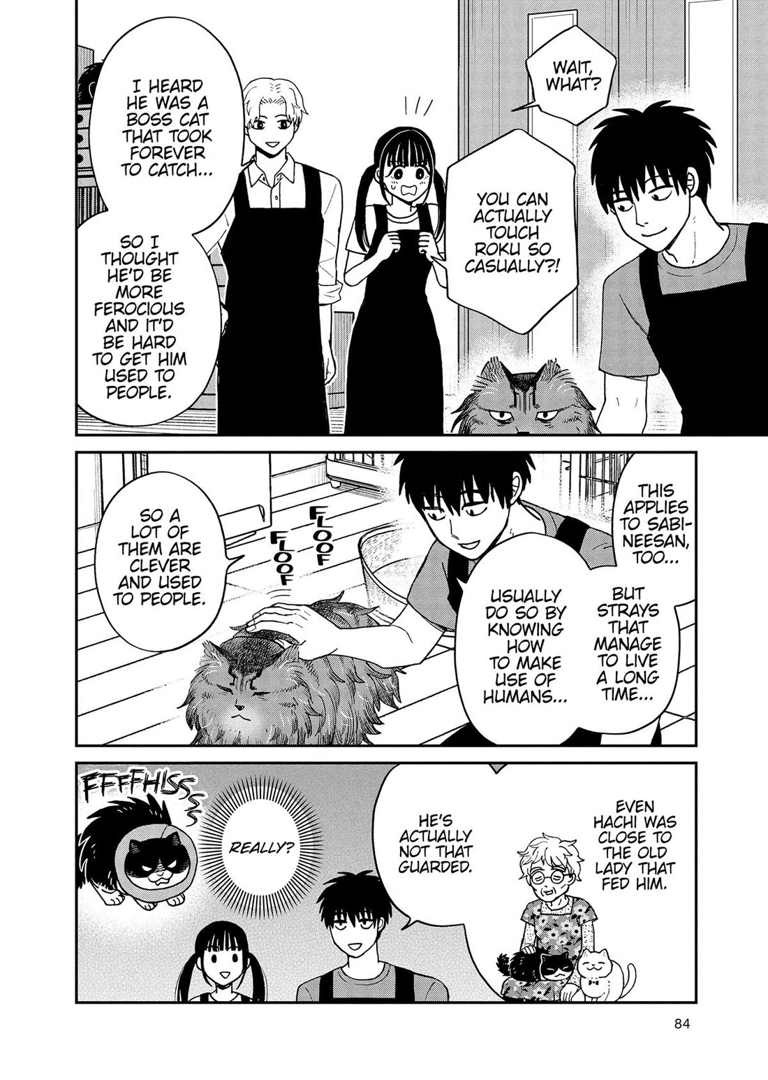 Cat Partners: Maruru and Hachi Chapter 48 page 2 - Chapter 48