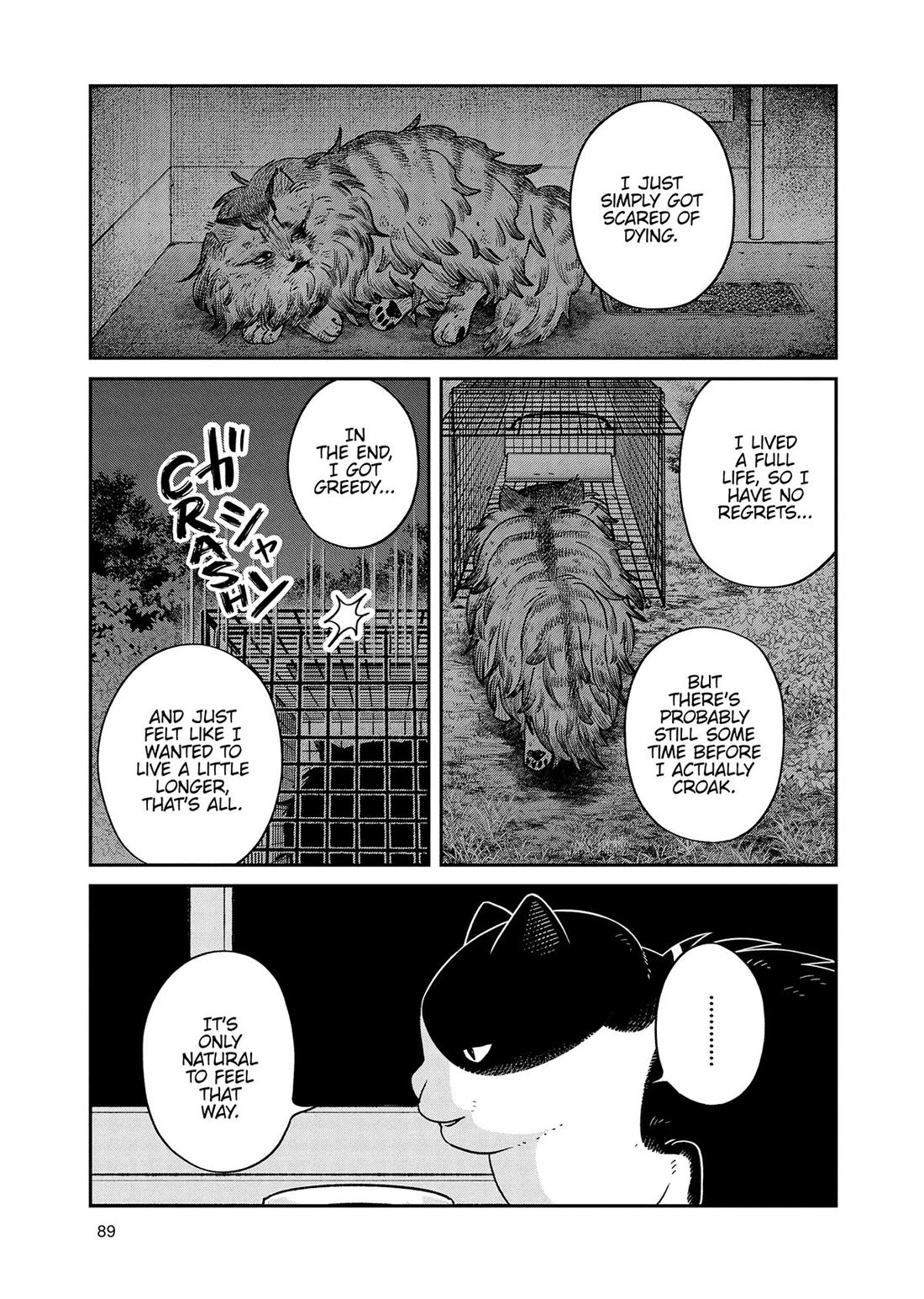 Cat Partners: Maruru and Hachi Chapter 48 page 7 - Chapter 48