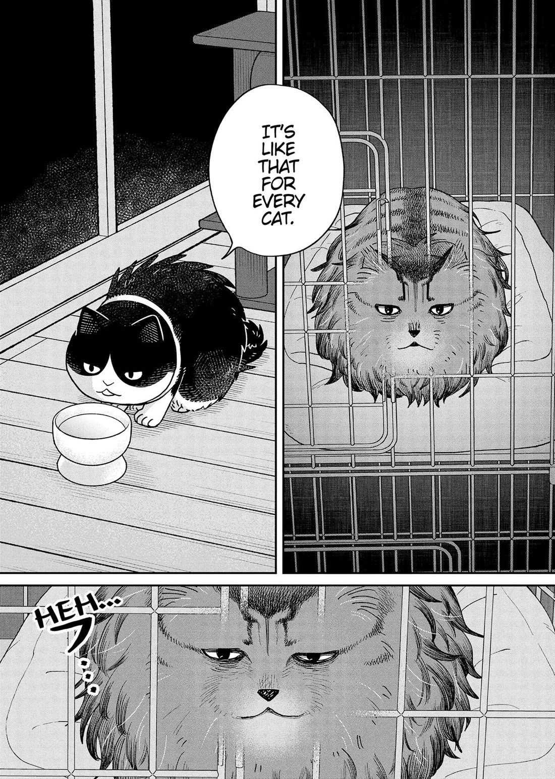 Cat Partners: Maruru and Hachi Chapter 48 page 8 - Chapter 48