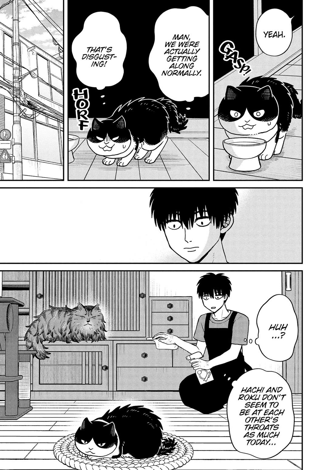 Cat Partners: Maruru and Hachi Chapter 48 page 9 - Chapter 48