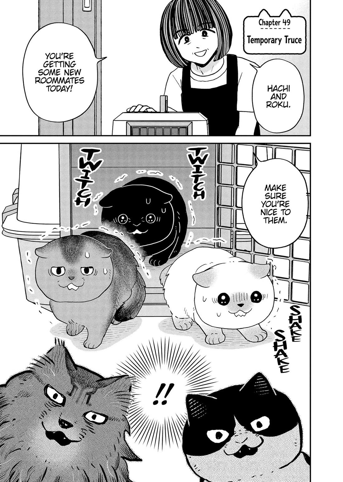 Cat Partners: Maruru and Hachi Chapter 49 page 1 - Chapter 49