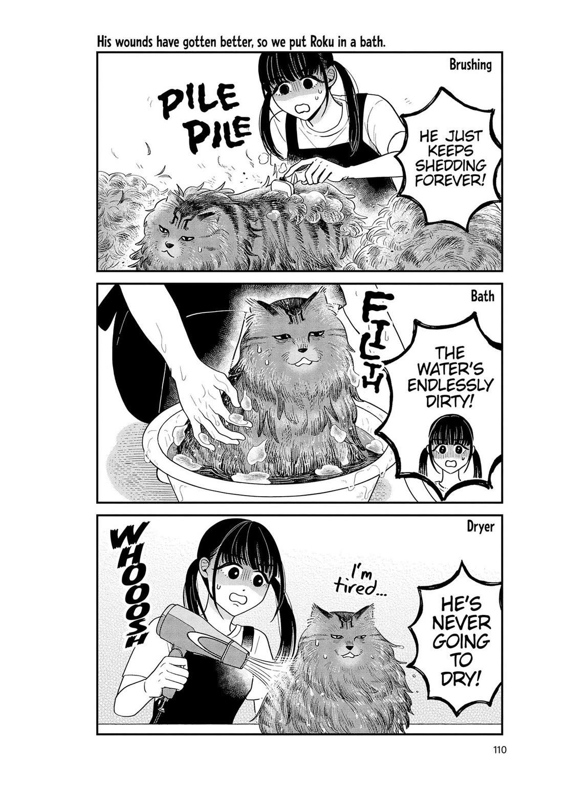 Cat Partners: Maruru and Hachi Chapter 49 page 14 - Chapter 49