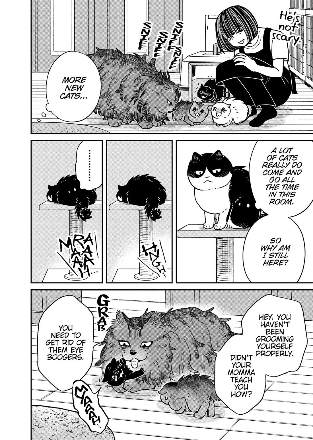 Cat Partners: Maruru and Hachi Chapter 49 page 2 - Chapter 49