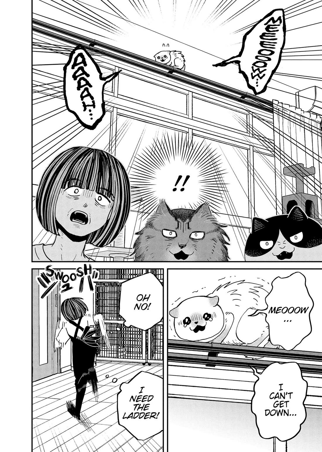 Cat Partners: Maruru and Hachi Chapter 49 page 4 - Chapter 49