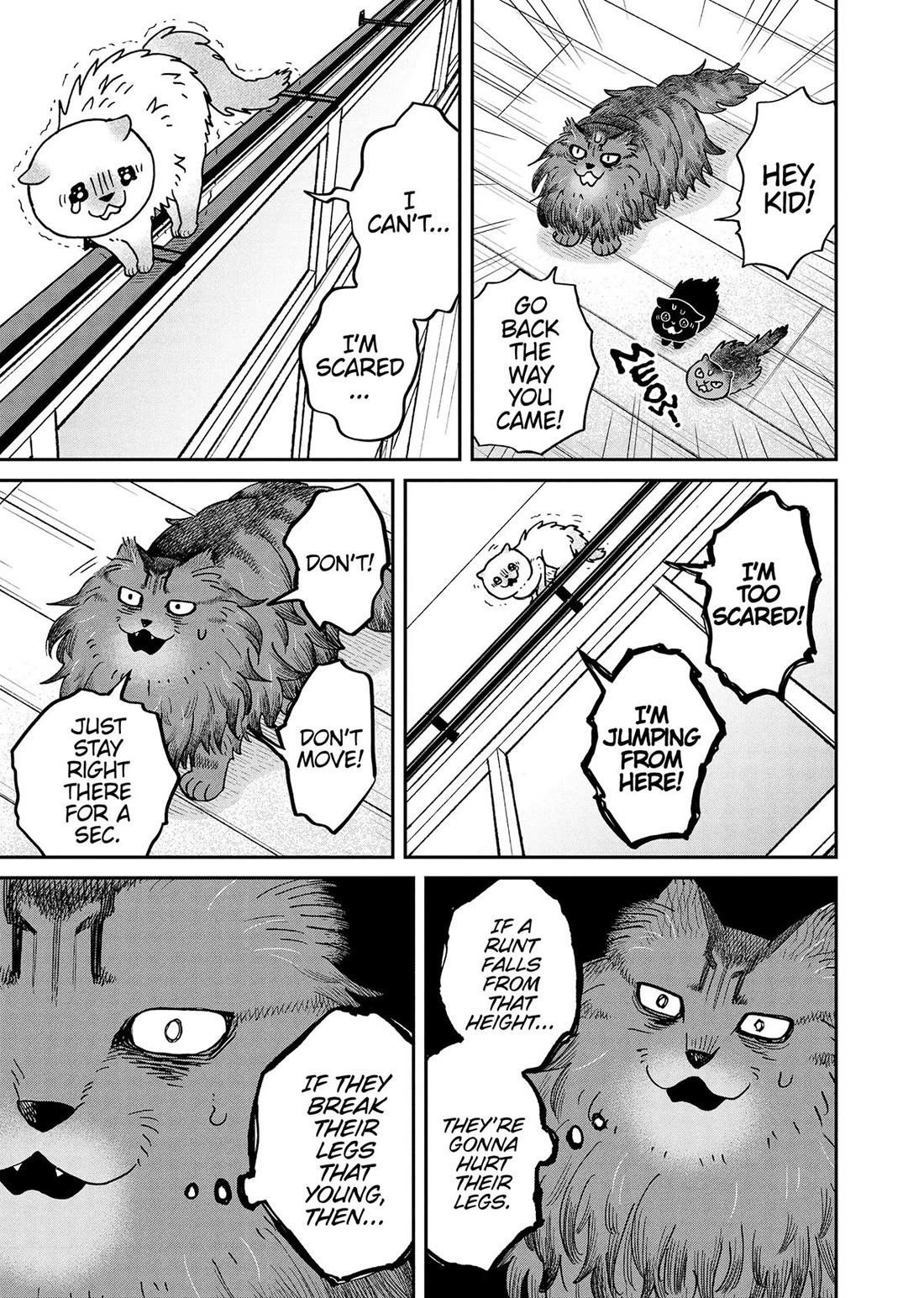 Cat Partners: Maruru and Hachi Chapter 49 page 5 - Chapter 49
