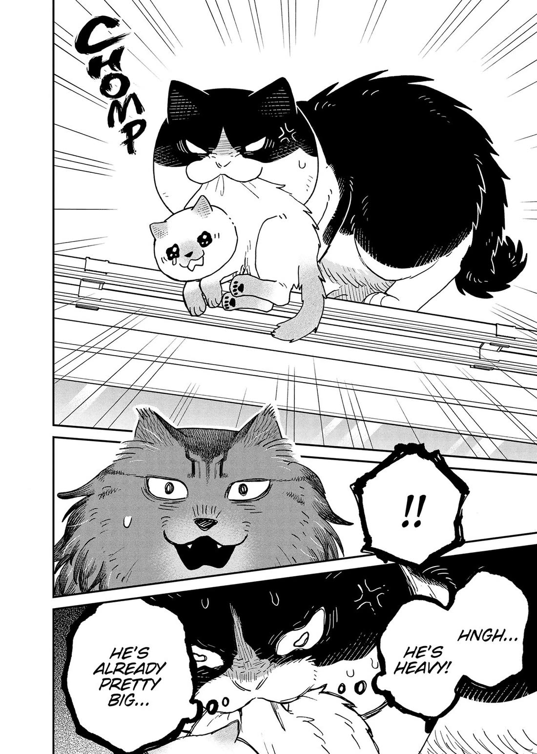 Cat Partners: Maruru and Hachi Chapter 49 page 6 - Chapter 49
