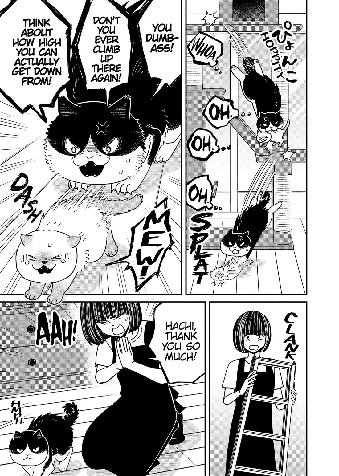 Cat Partners: Maruru and Hachi Chapter 49 page 7 - Chapter 49