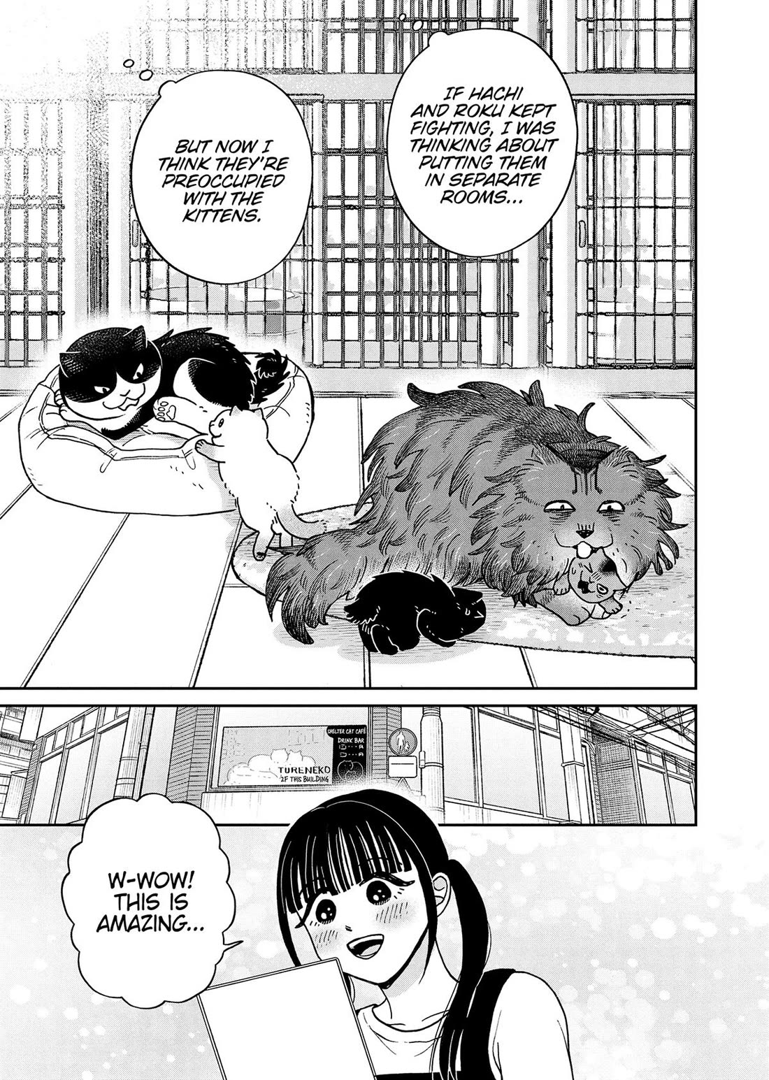 Cat Partners: Maruru and Hachi Chapter 49 page 9 - Chapter 49