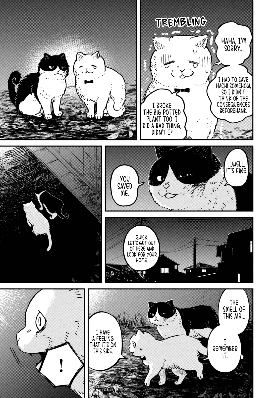 Cat Partners: Maruru and Hachi Chapter 5 page 10 - Chapter 5: Return to Maruru's house