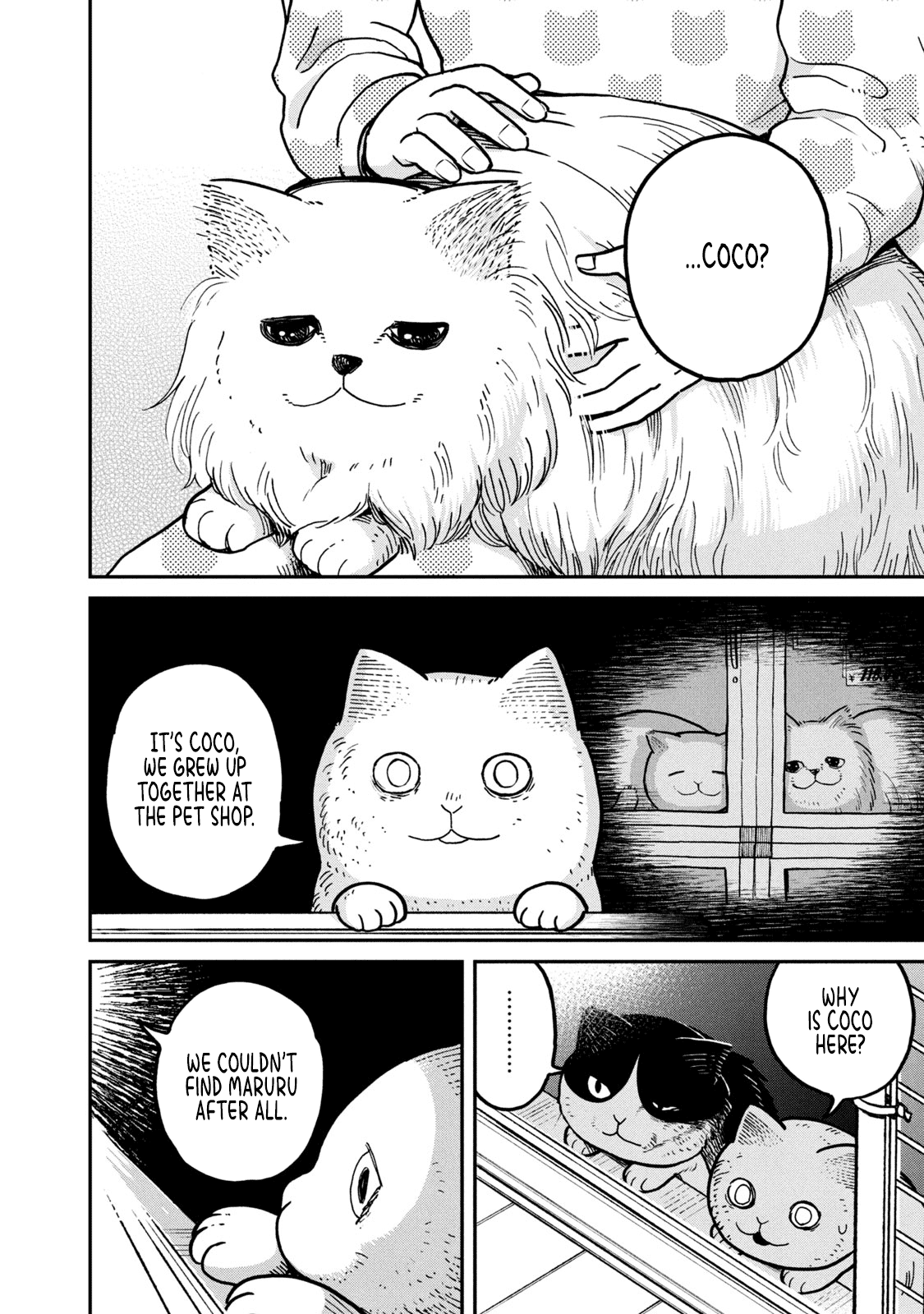 Cat Partners: Maruru and Hachi Chapter 5 page 13 - Chapter 5: Return to Maruru's house