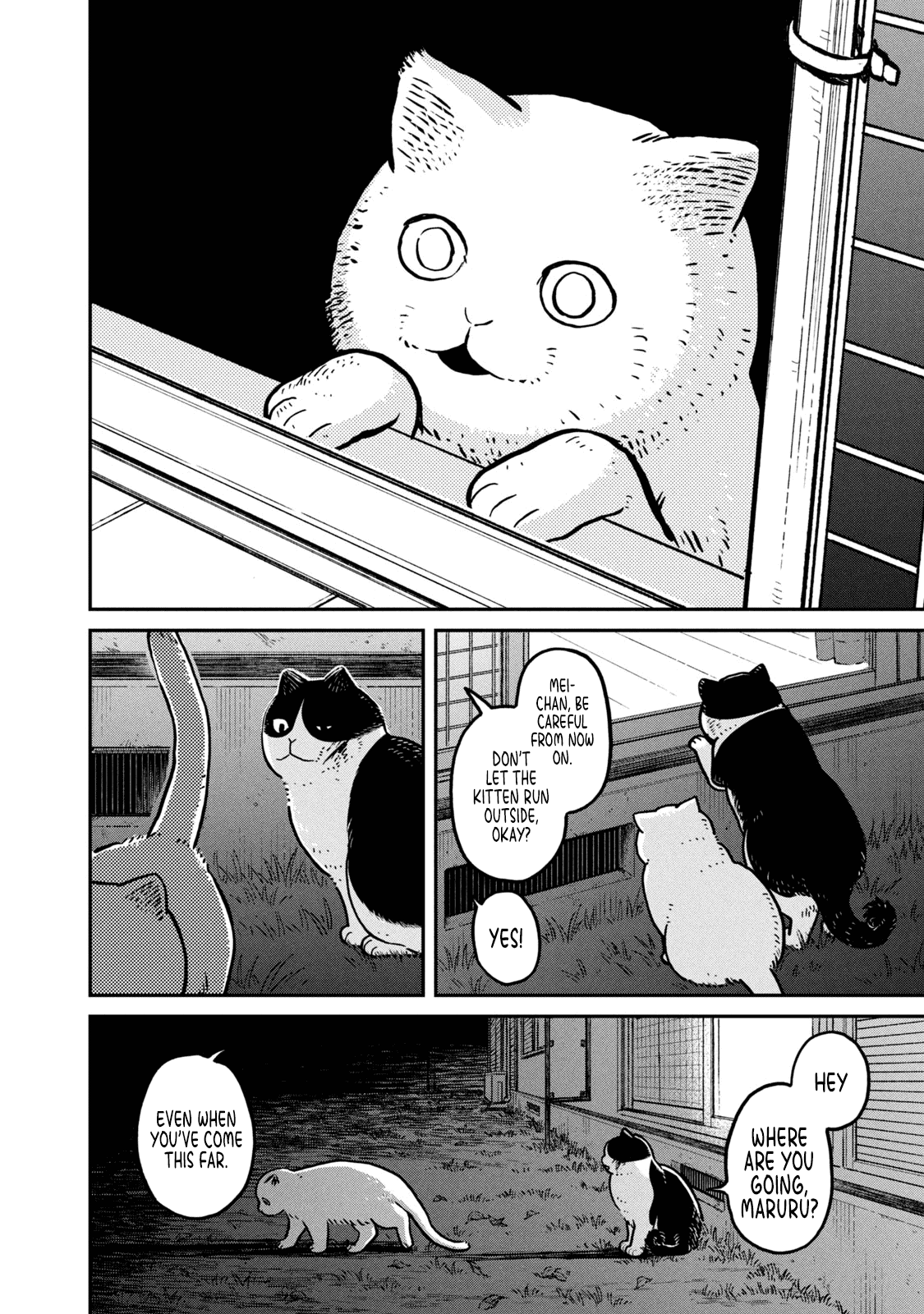 Cat Partners: Maruru and Hachi Chapter 5 page 15 - Chapter 5: Return to Maruru's house
