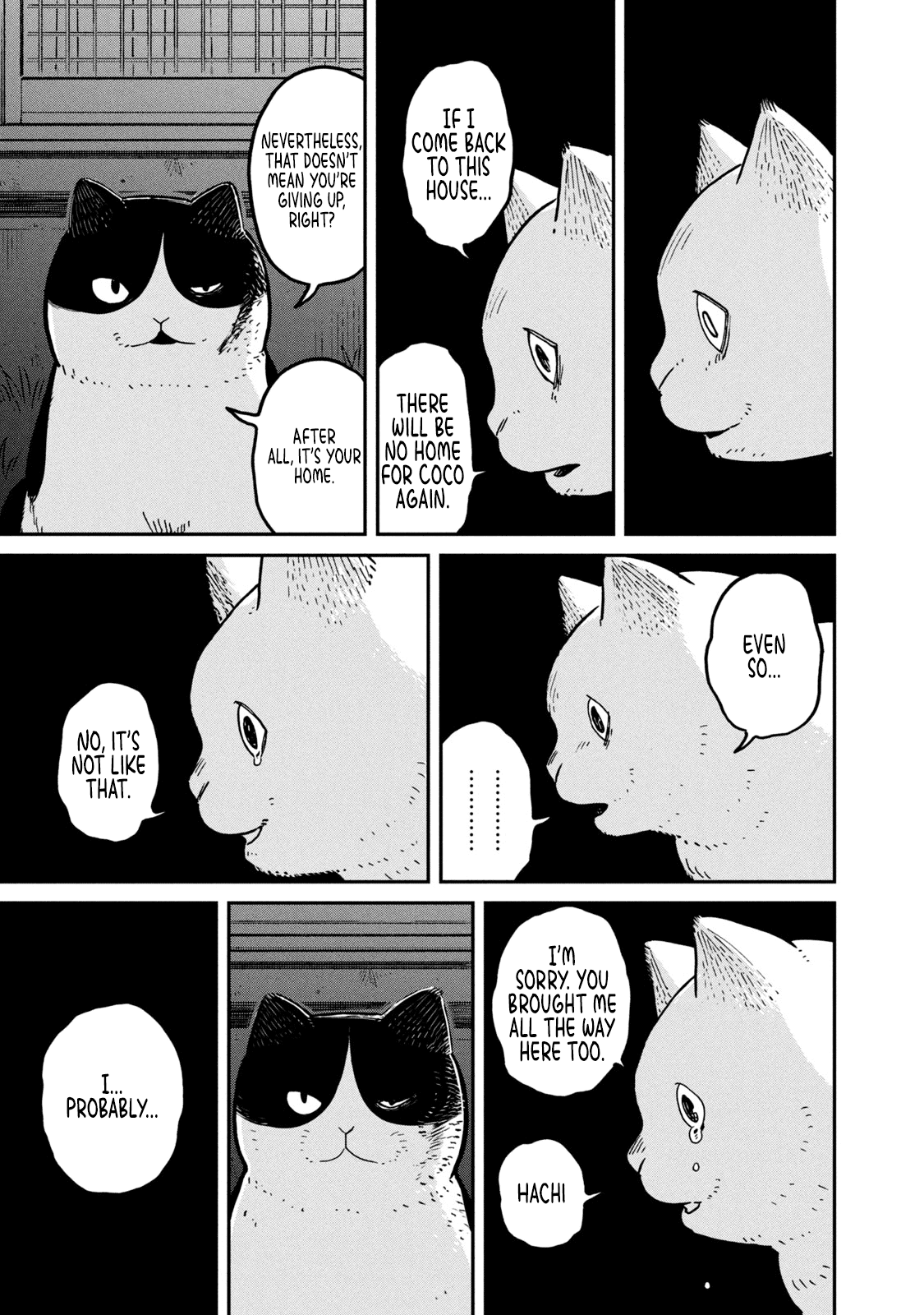 Cat Partners: Maruru and Hachi Chapter 5 page 16 - Chapter 5: Return to Maruru's house