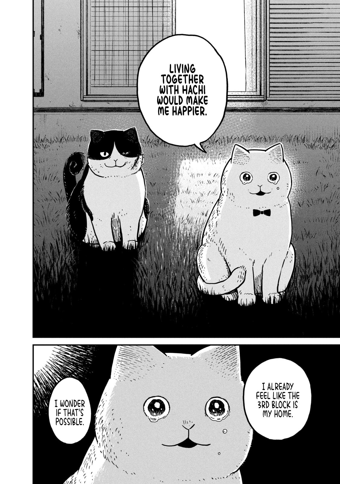 Cat Partners: Maruru and Hachi Chapter 5 page 17 - Chapter 5: Return to Maruru's house