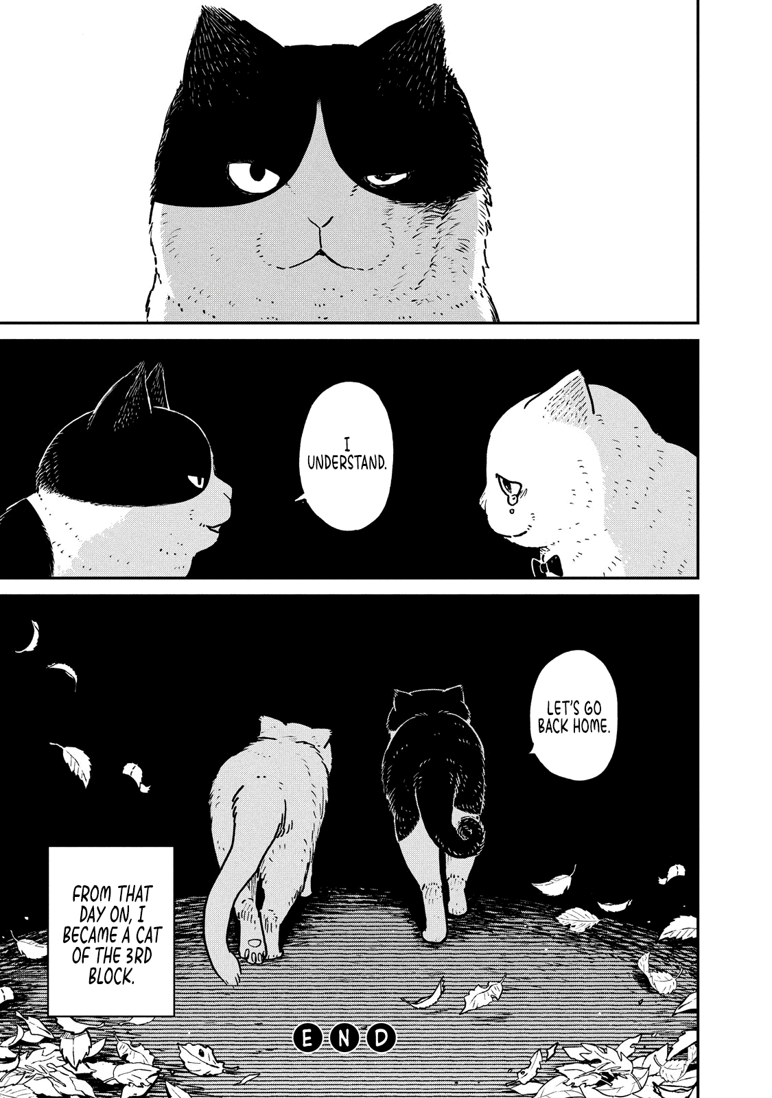 Cat Partners: Maruru and Hachi Chapter 5 page 18 - Chapter 5: Return to Maruru's house