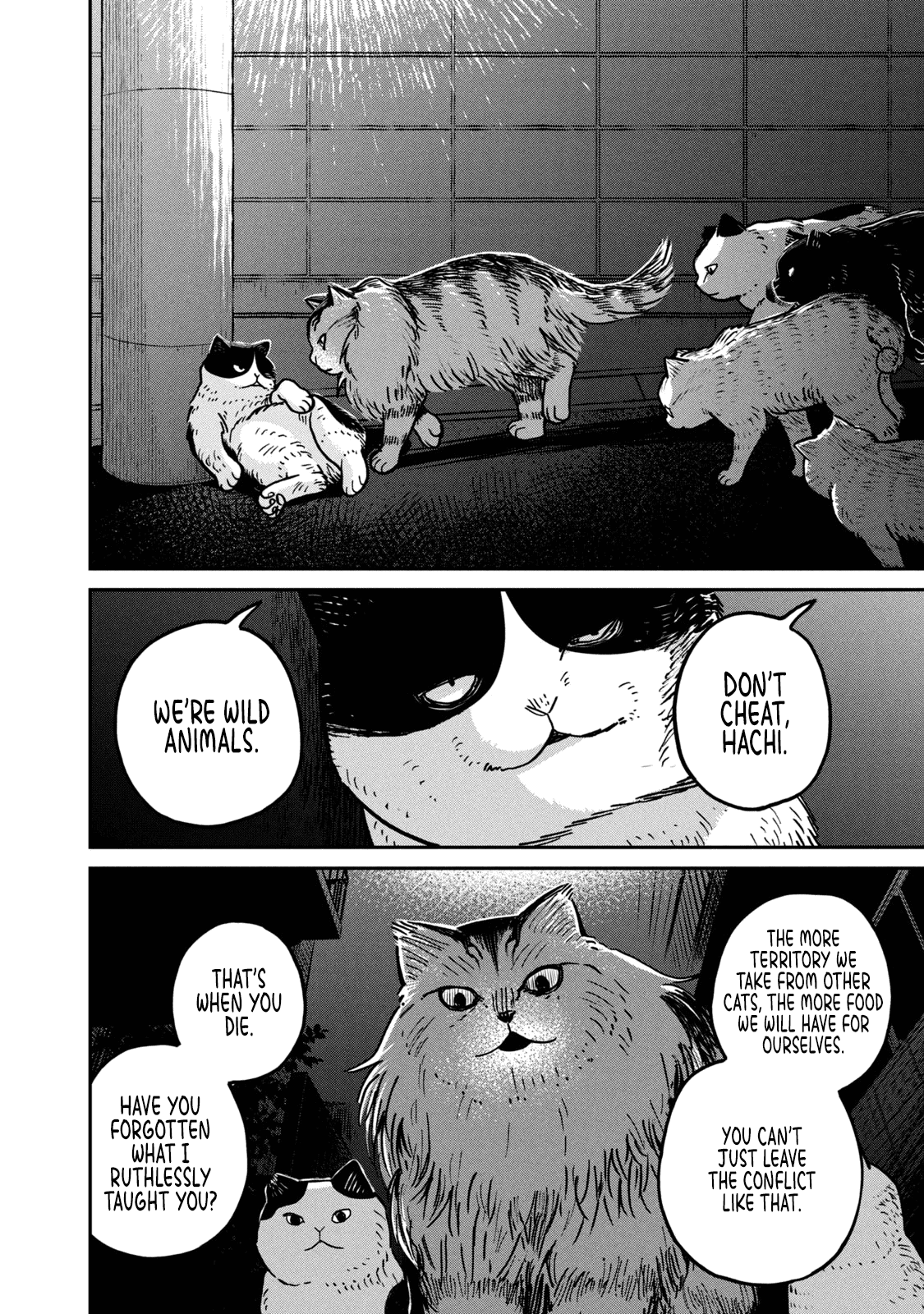 Cat Partners: Maruru and Hachi Chapter 5 page 5 - Chapter 5: Return to Maruru's house