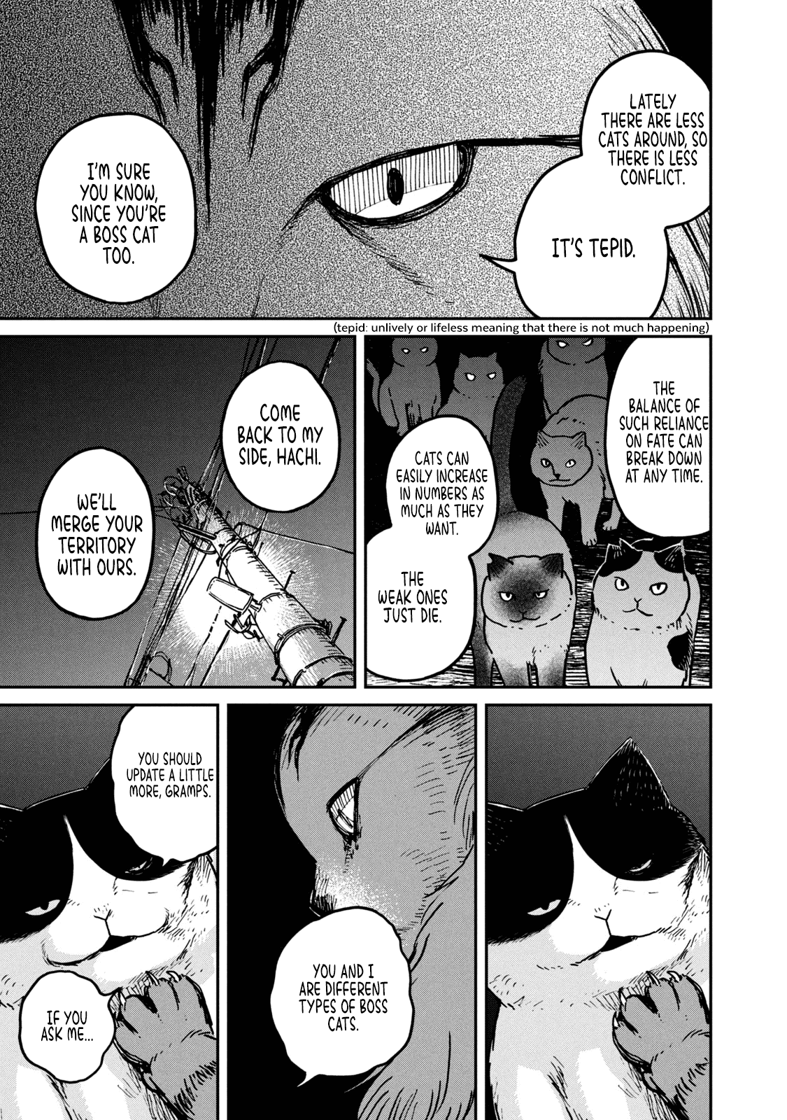 Cat Partners: Maruru and Hachi Chapter 5 page 6 - Chapter 5: Return to Maruru's house