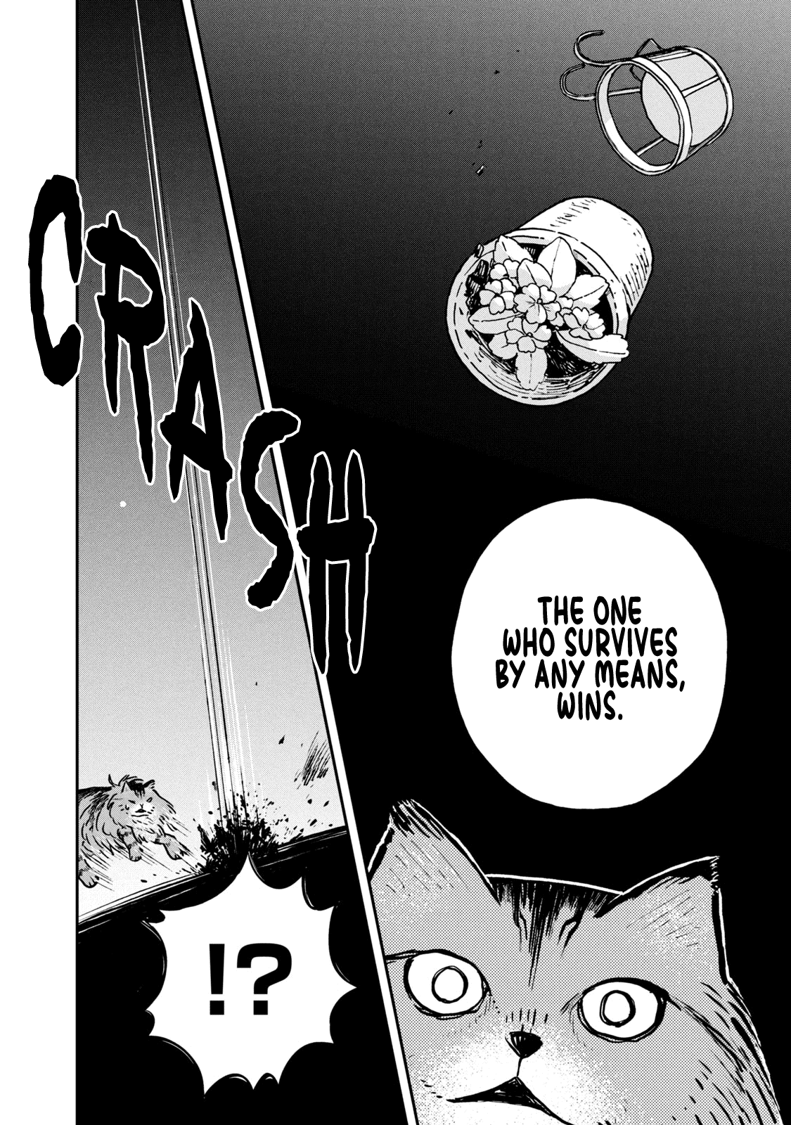 Cat Partners: Maruru and Hachi Chapter 5 page 7 - Chapter 5: Return to Maruru's house