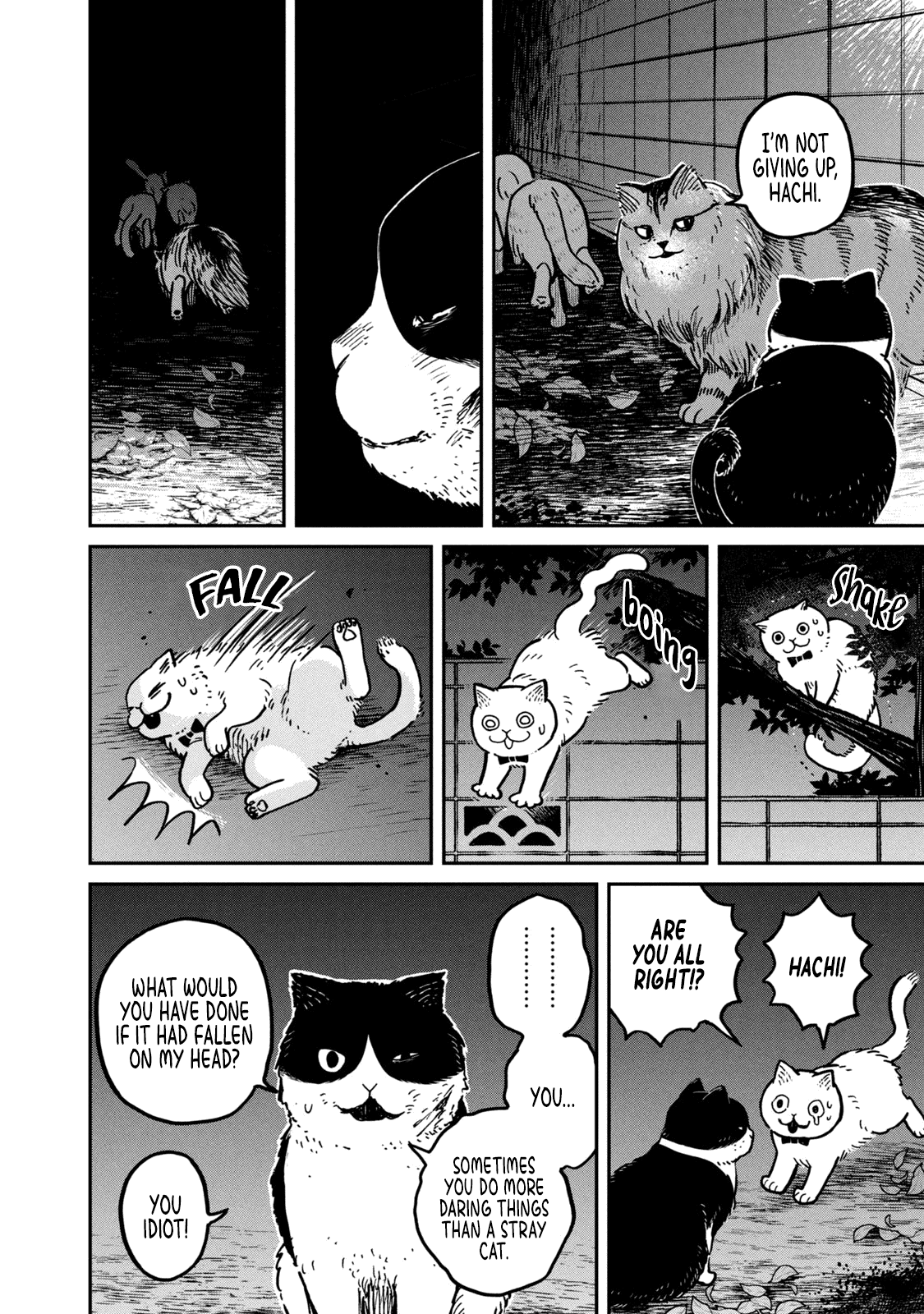Cat Partners: Maruru and Hachi Chapter 5 page 9 - Chapter 5: Return to Maruru's house