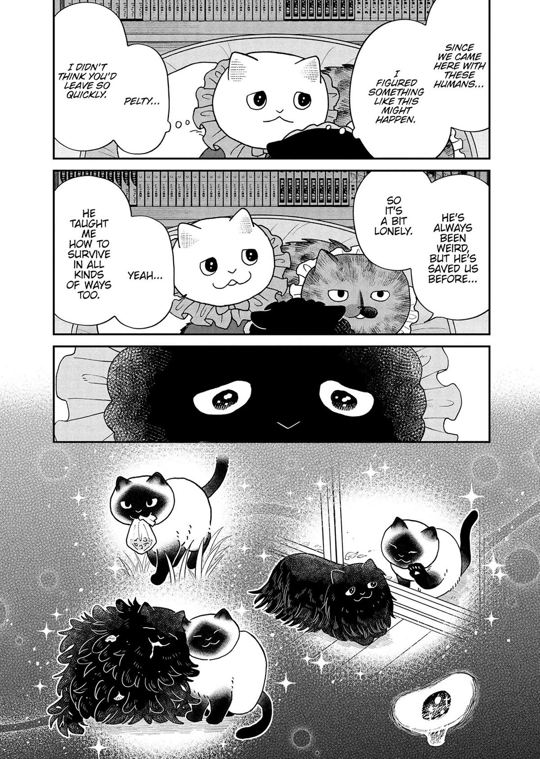 Cat Partners: Maruru and Hachi Chapter 50 page 10 - Chapter 50