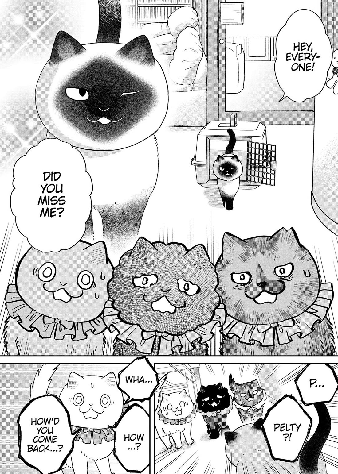 Cat Partners: Maruru and Hachi Chapter 50 page 12 - Chapter 50