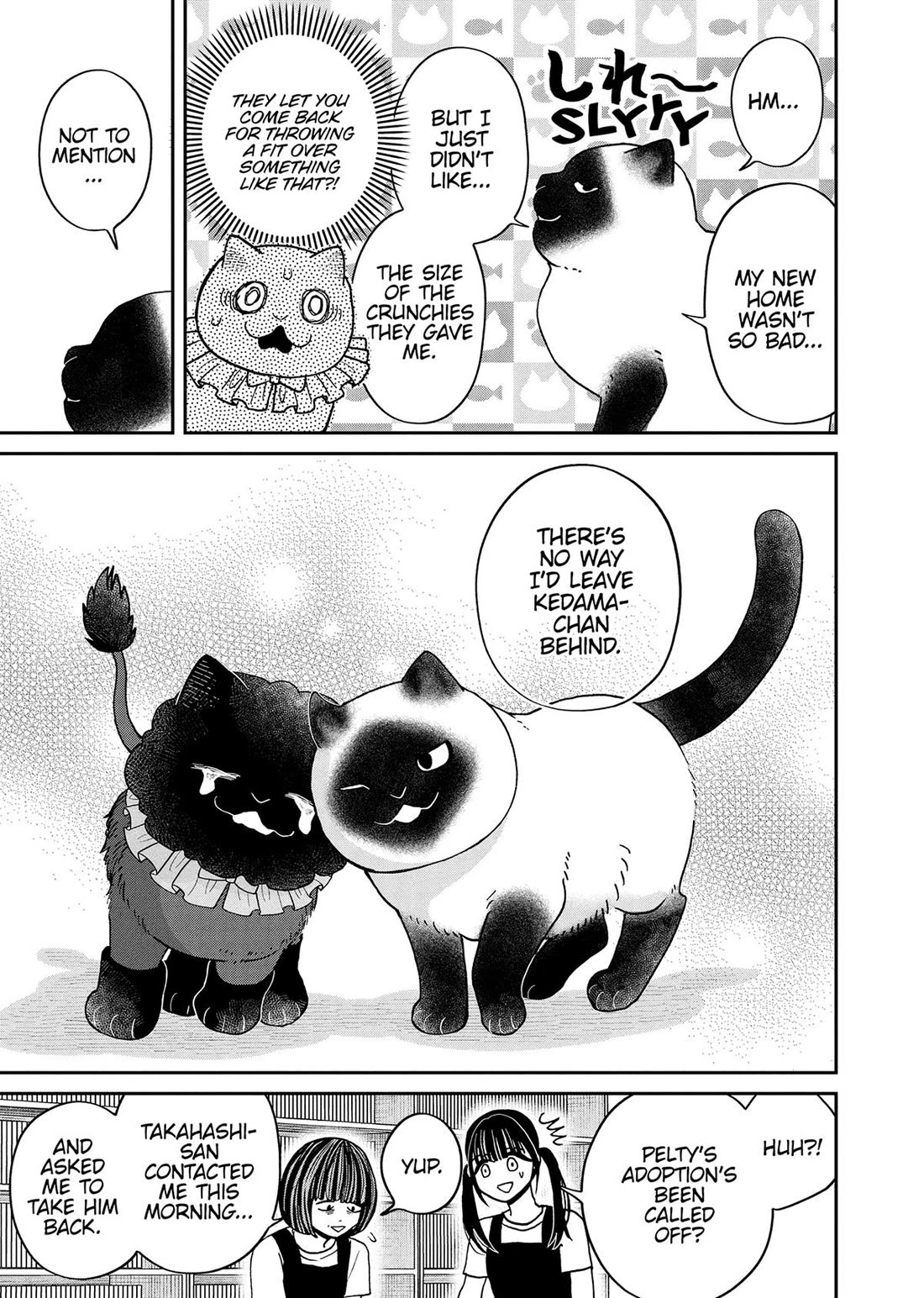 Cat Partners: Maruru and Hachi Chapter 50 page 13 - Chapter 50