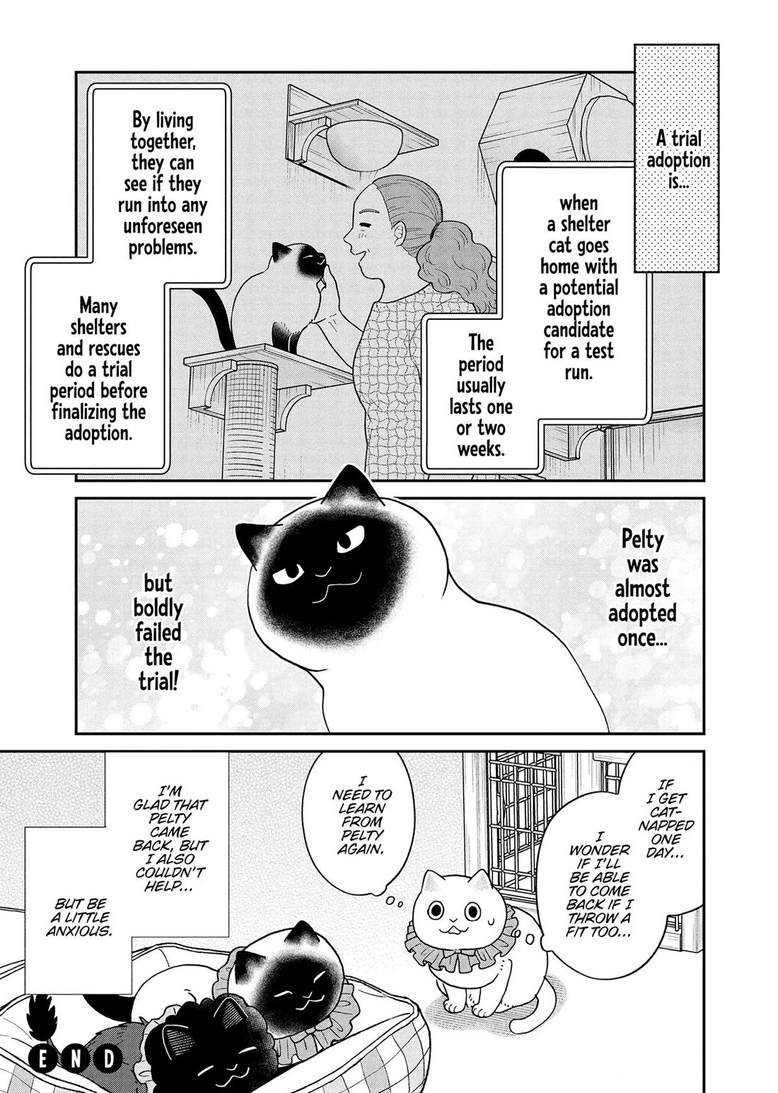 Cat Partners: Maruru and Hachi Chapter 50 page 15 - Chapter 50