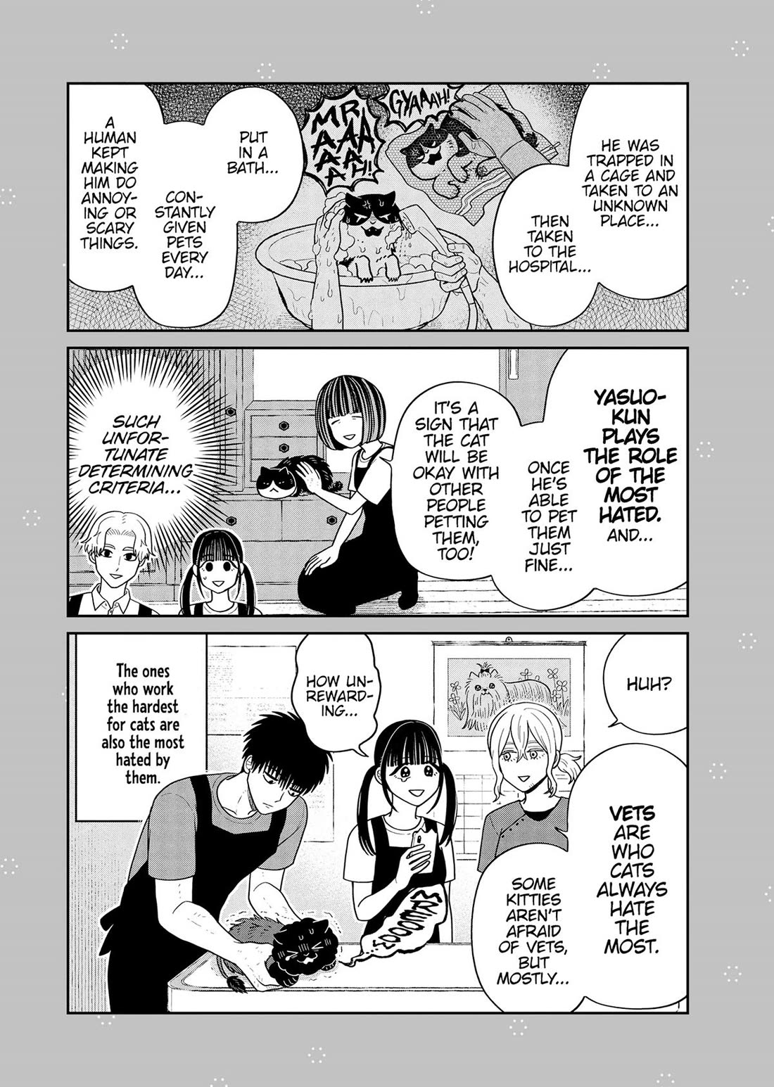 Cat Partners: Maruru and Hachi Chapter 50 page 19 - Chapter 50