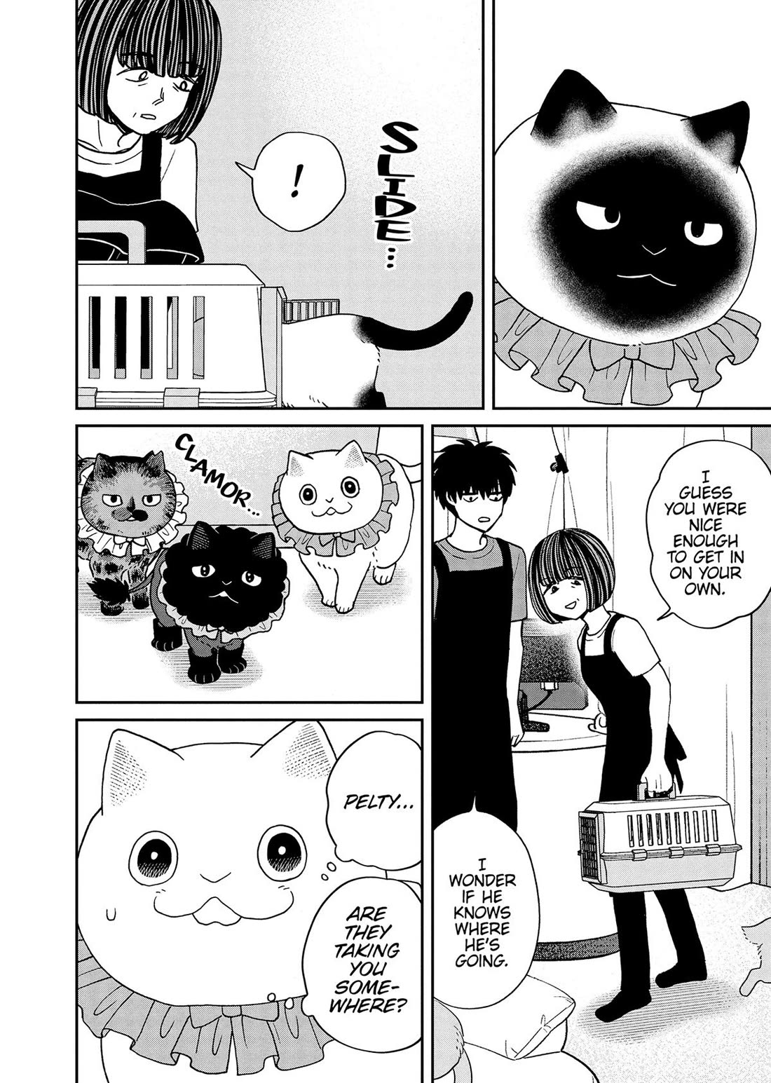 Cat Partners: Maruru and Hachi Chapter 50 page 2 - Chapter 50
