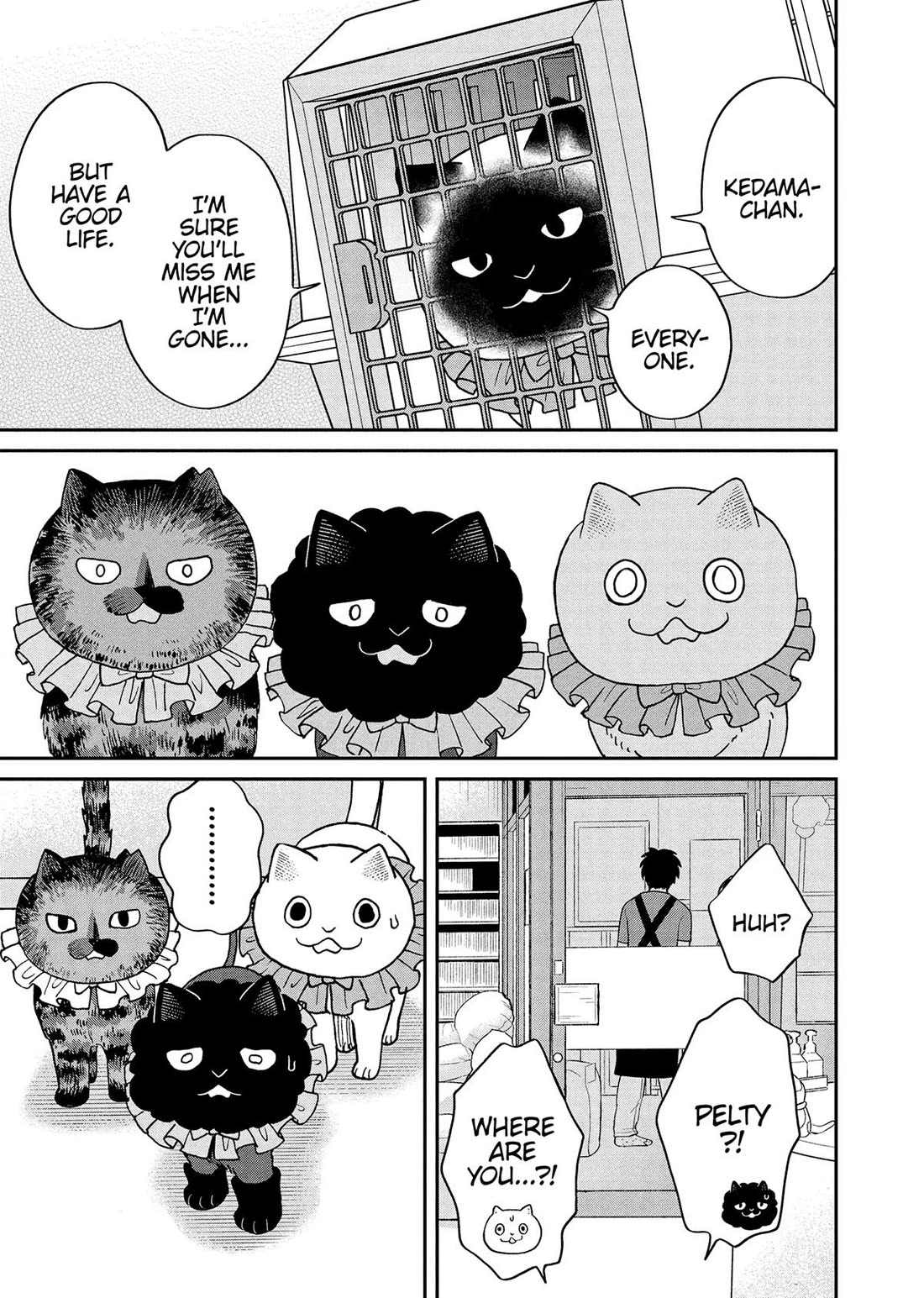 Cat Partners: Maruru and Hachi Chapter 50 page 3 - Chapter 50