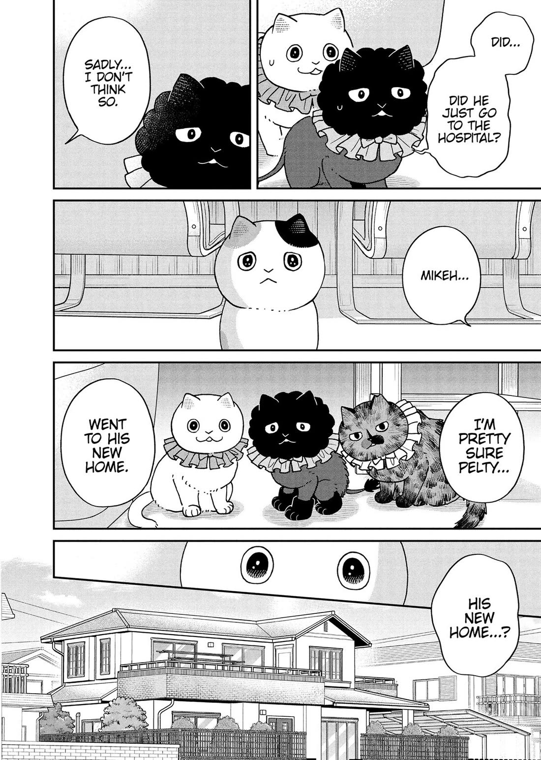 Cat Partners: Maruru and Hachi Chapter 50 page 4 - Chapter 50