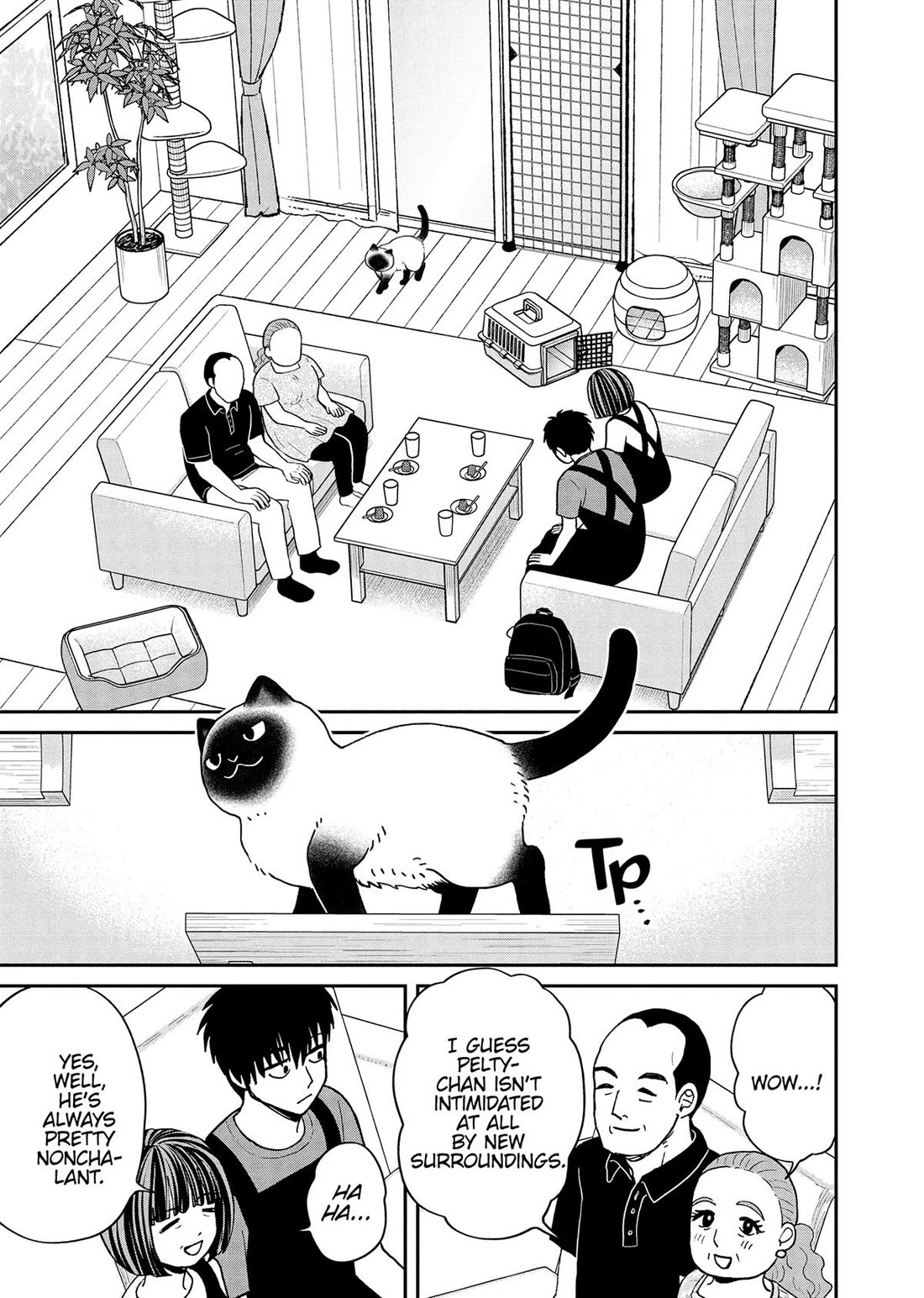 Cat Partners: Maruru and Hachi Chapter 50 page 5 - Chapter 50