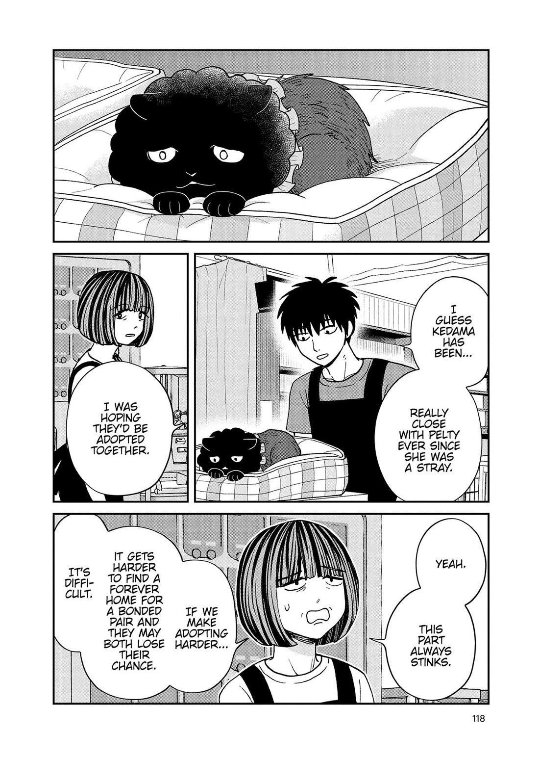 Cat Partners: Maruru and Hachi Chapter 50 page 8 - Chapter 50