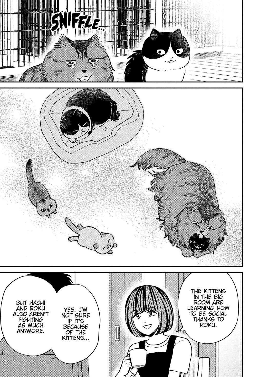 Cat Partners: Maruru and Hachi Chapter 51 page 11 - Chapter 51