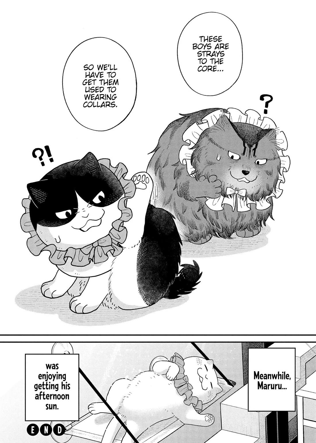 Cat Partners: Maruru and Hachi Chapter 51 page 13 - Chapter 51