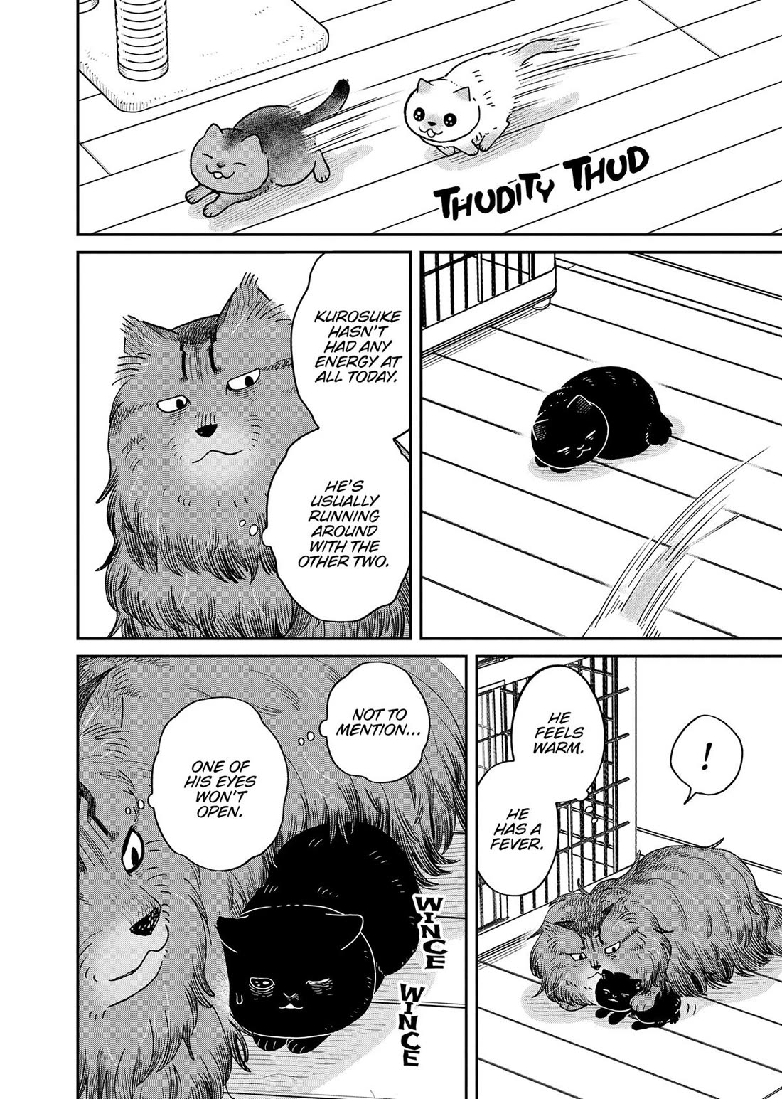Cat Partners: Maruru and Hachi Chapter 51 page 2 - Chapter 51