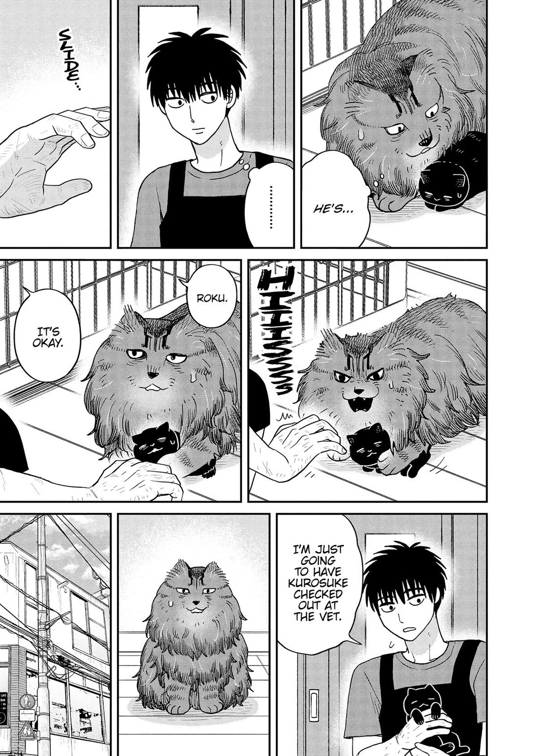 Cat Partners: Maruru and Hachi Chapter 51 page 3 - Chapter 51