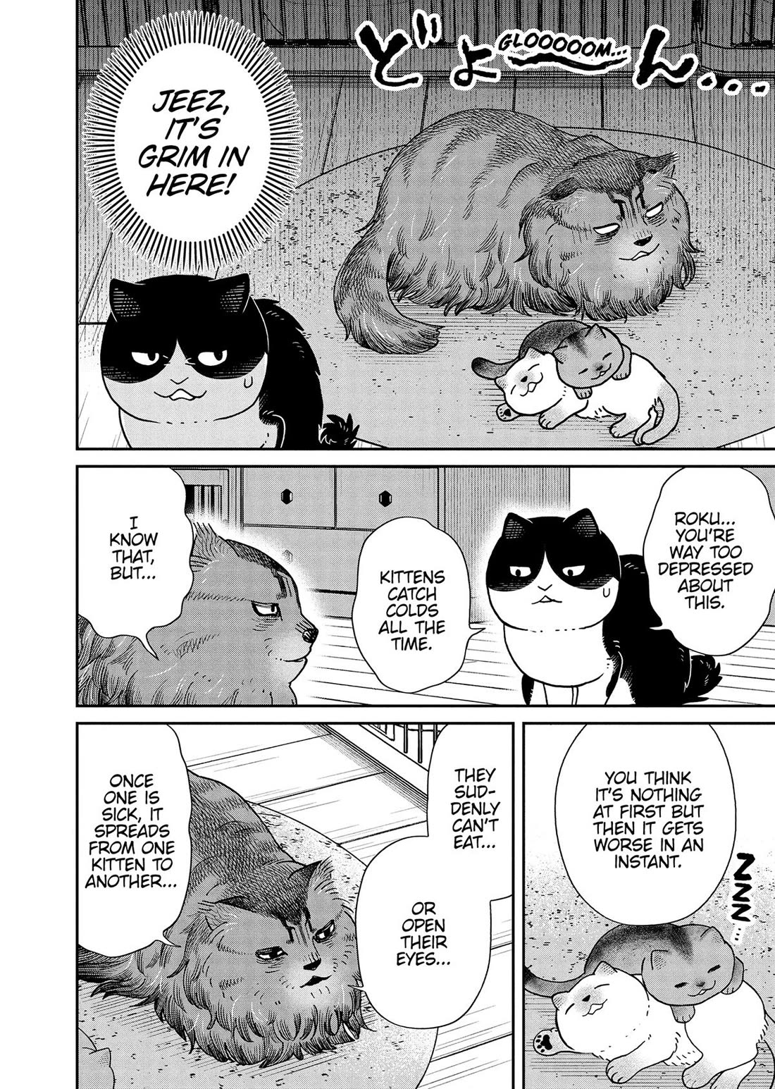 Cat Partners: Maruru and Hachi Chapter 51 page 4 - Chapter 51