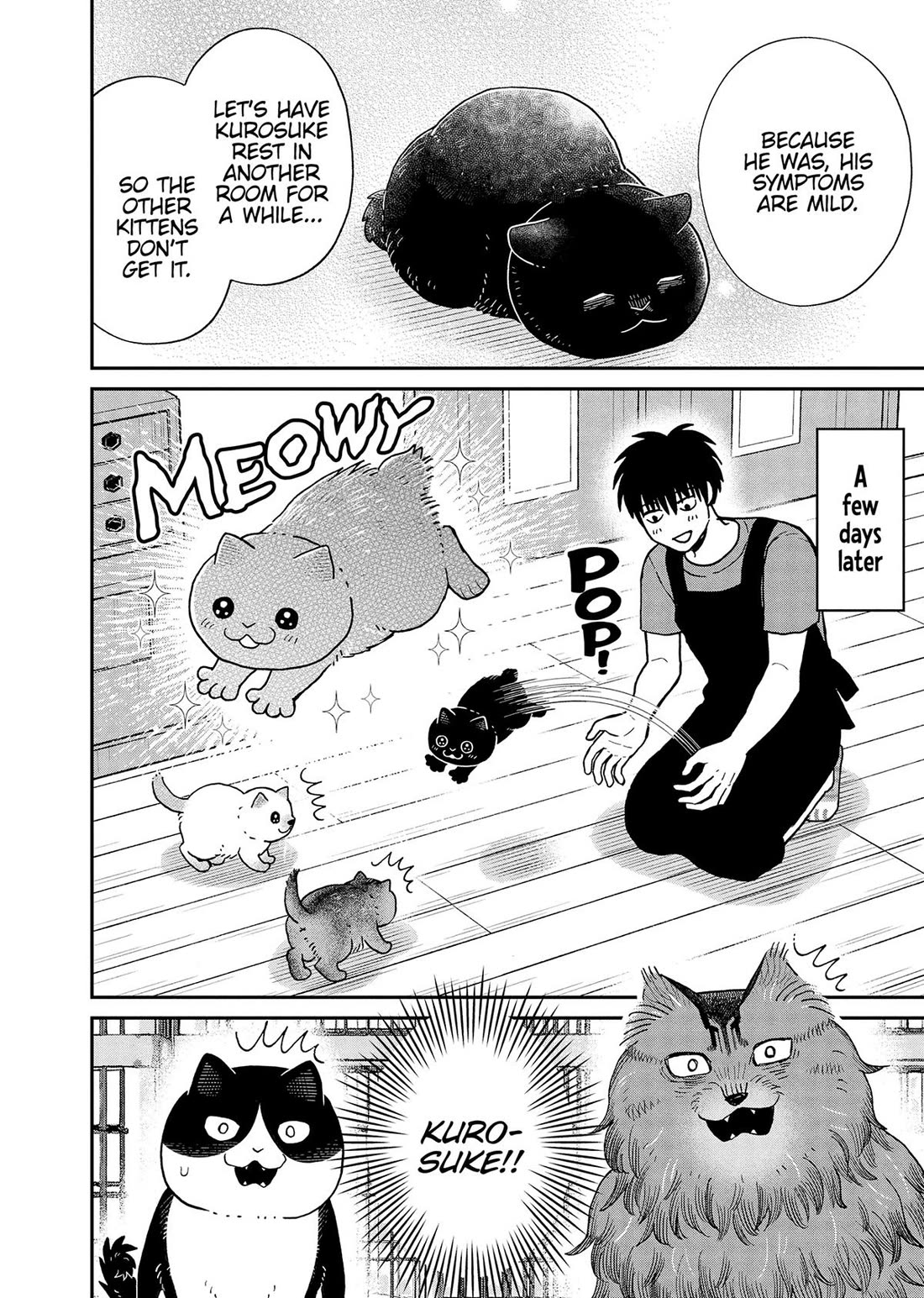 Cat Partners: Maruru and Hachi Chapter 51 page 8 - Chapter 51