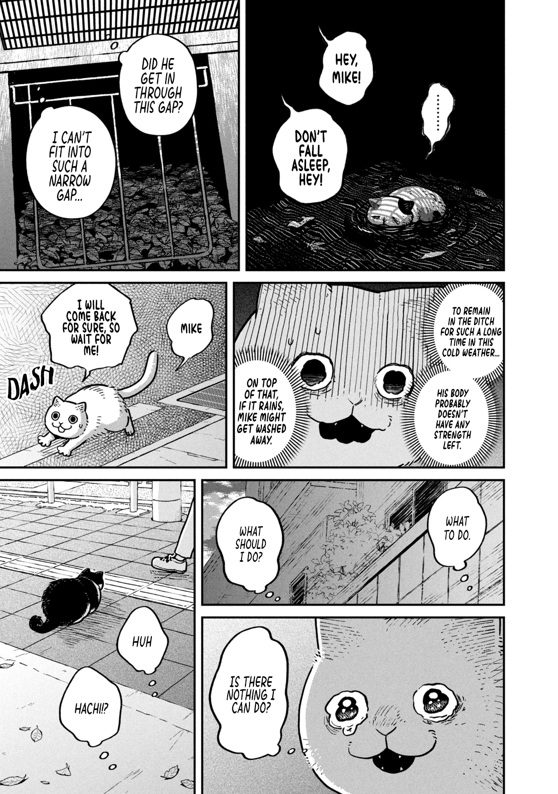 Cat Partners: Maruru and Hachi Chapter 6 page 10 - Chapter 6: Mike's rescue mission