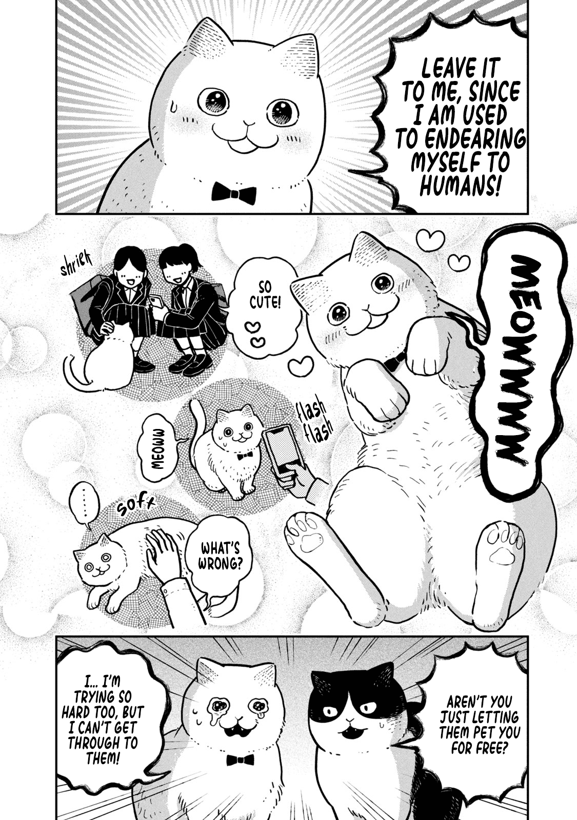 Cat Partners: Maruru and Hachi Chapter 6 page 13 - Chapter 6: Mike's rescue mission