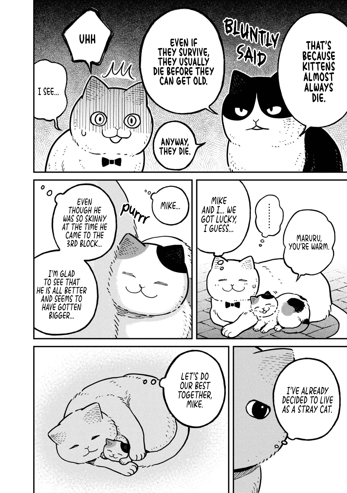 Cat Partners: Maruru and Hachi Chapter 6 page 5 - Chapter 6: Mike's rescue mission